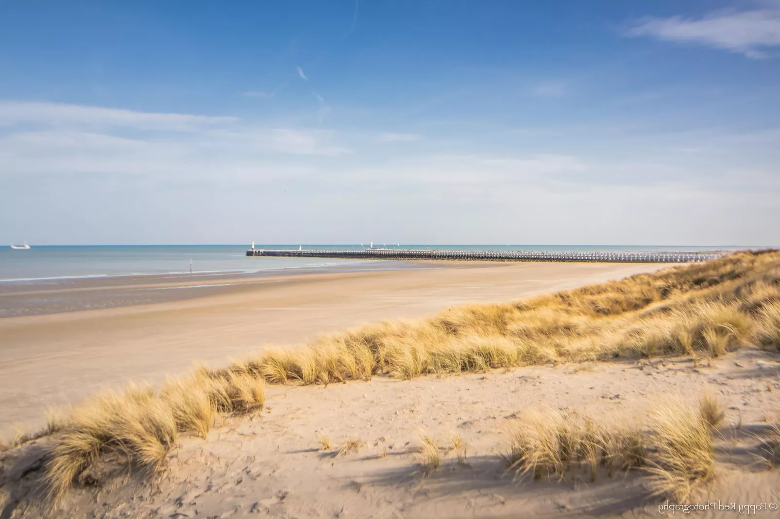 PANORAMA B / 0202-Gebieden zomer 20km