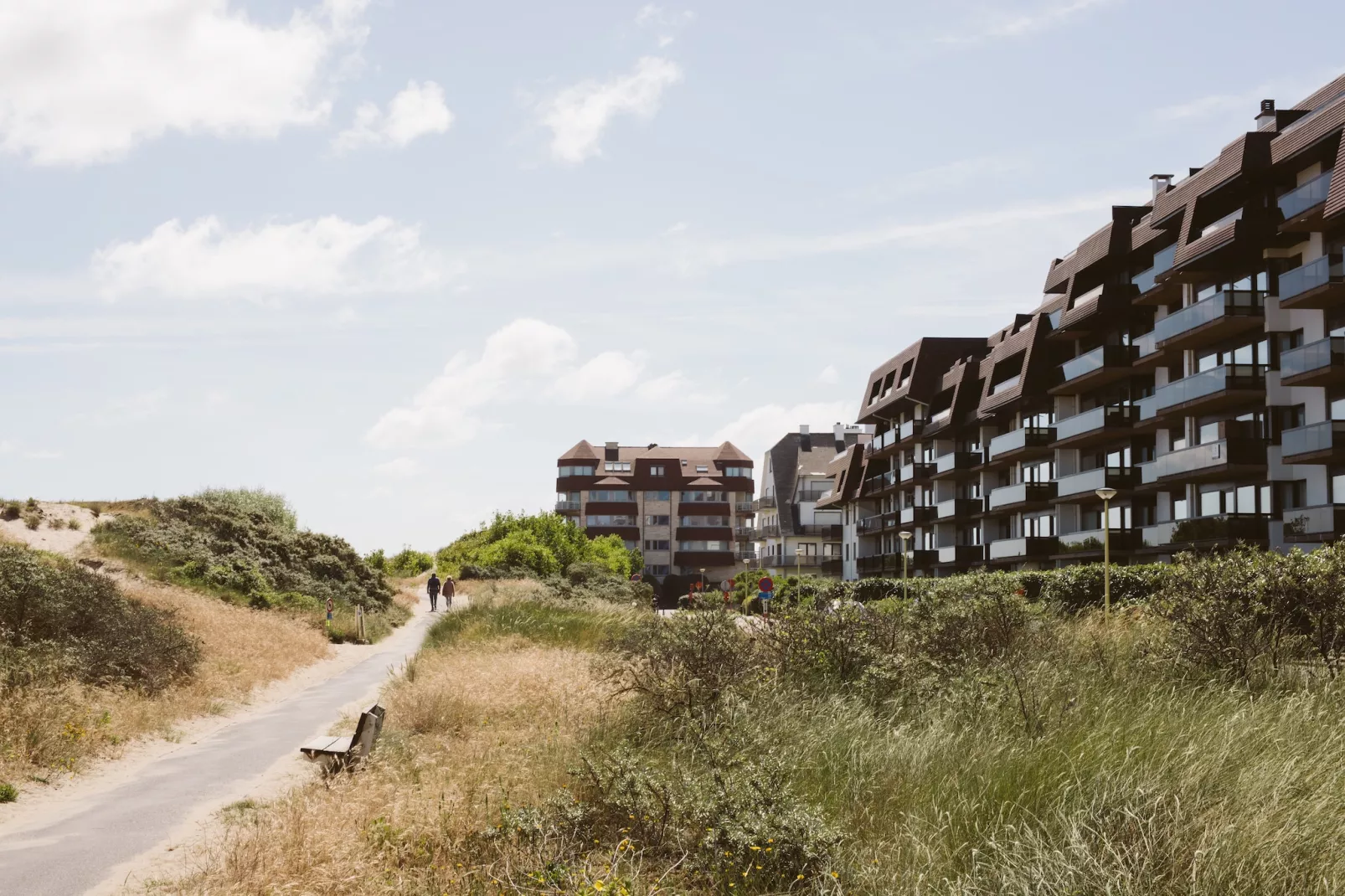 PLAZA I/0802-Gebieden zomer 1km