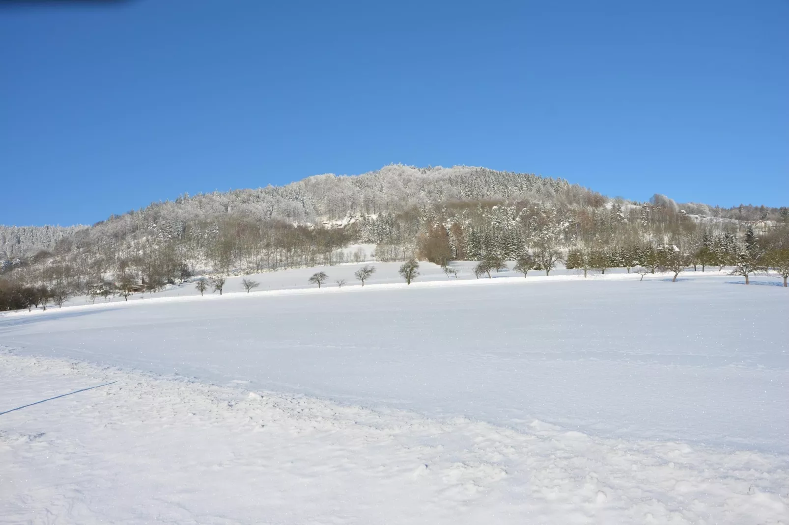 Vladka-Gebied winter 1km