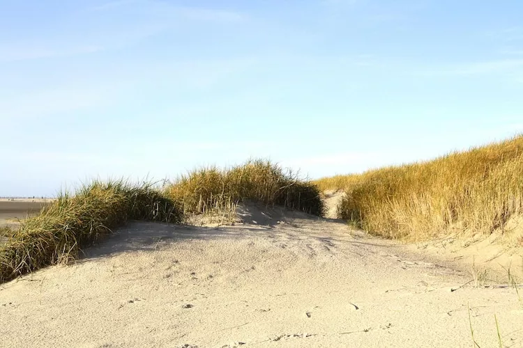 Watt 1-Gebieden zomer 5km