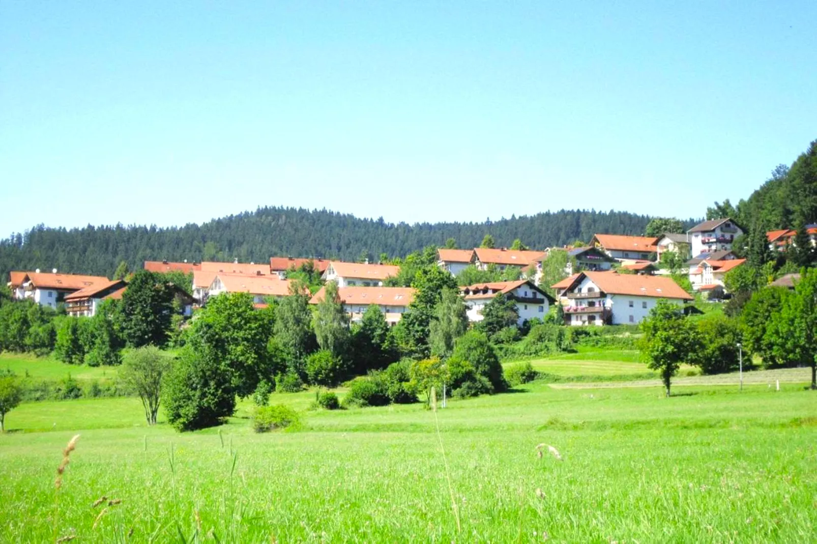 Ferienwohnung Langdorf-Gebieden zomer 20km