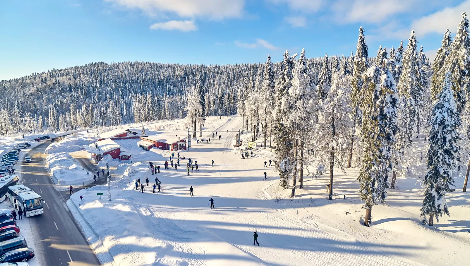 Ferienwohnung Langdorf-Gebied winter 20km