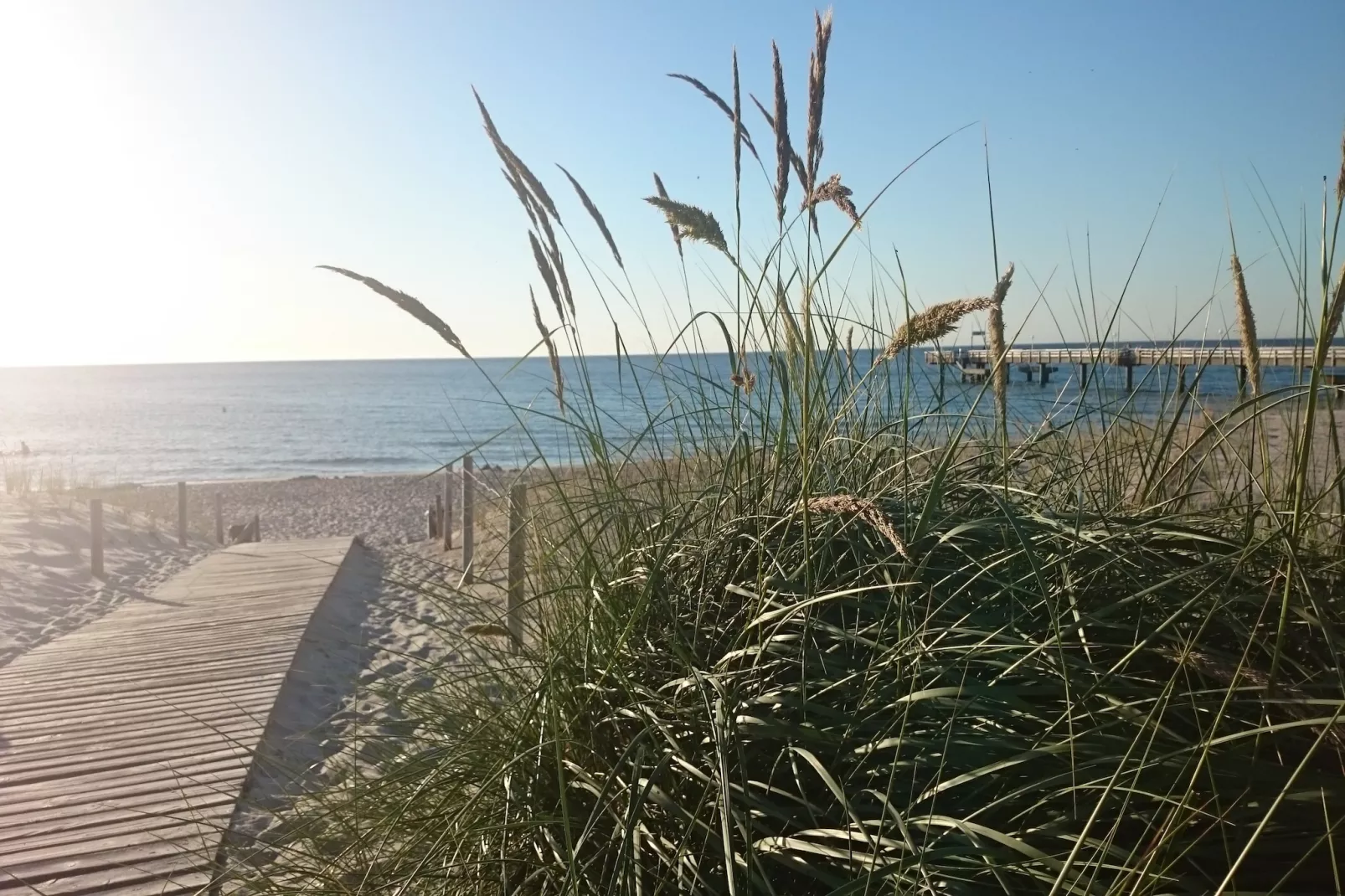 Reetdach-Gebieden zomer 20km