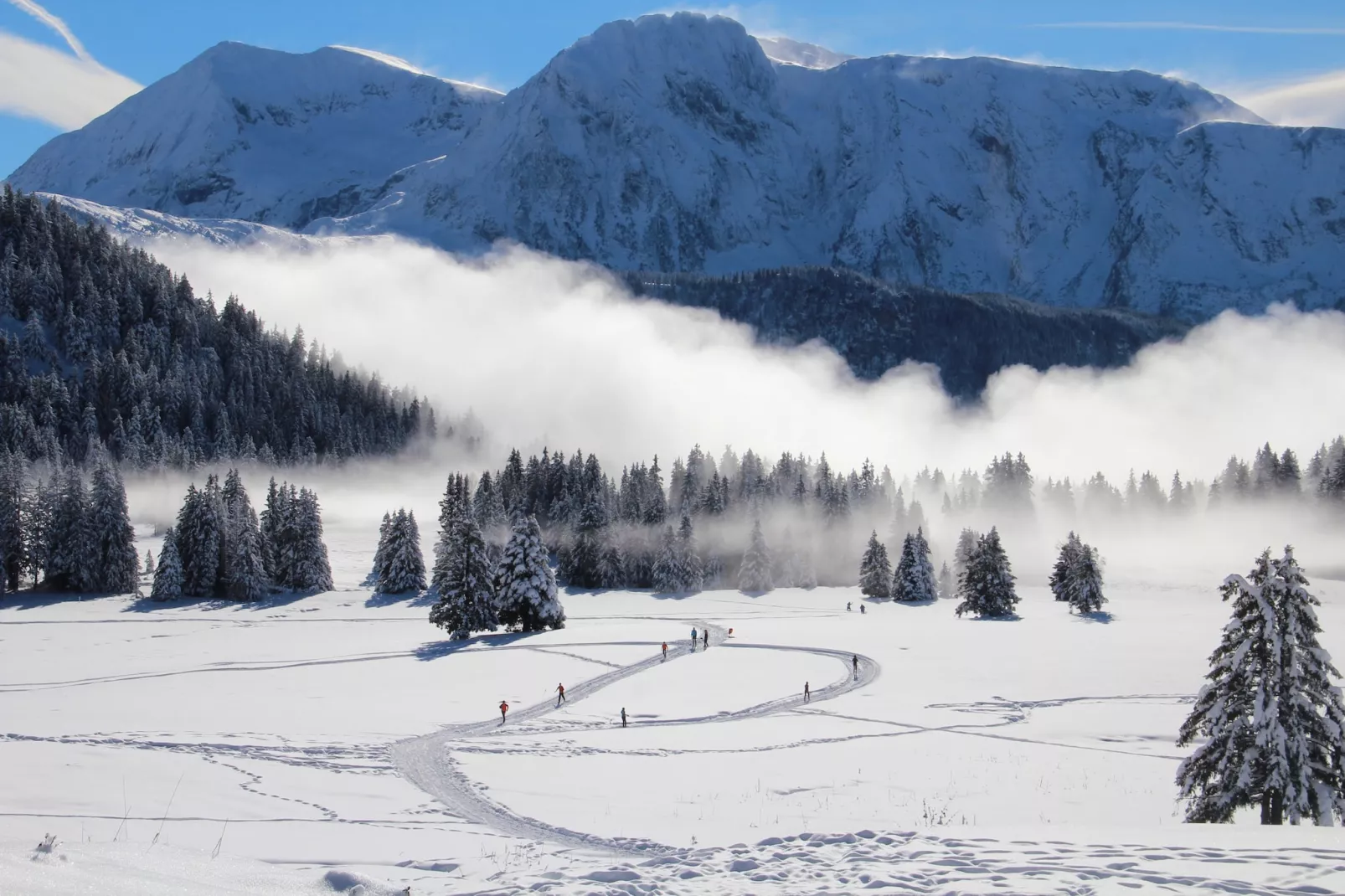 Chartreuse 1 036-FAMILLE & MONTAGNE appart. 6 pers-Image-tags.