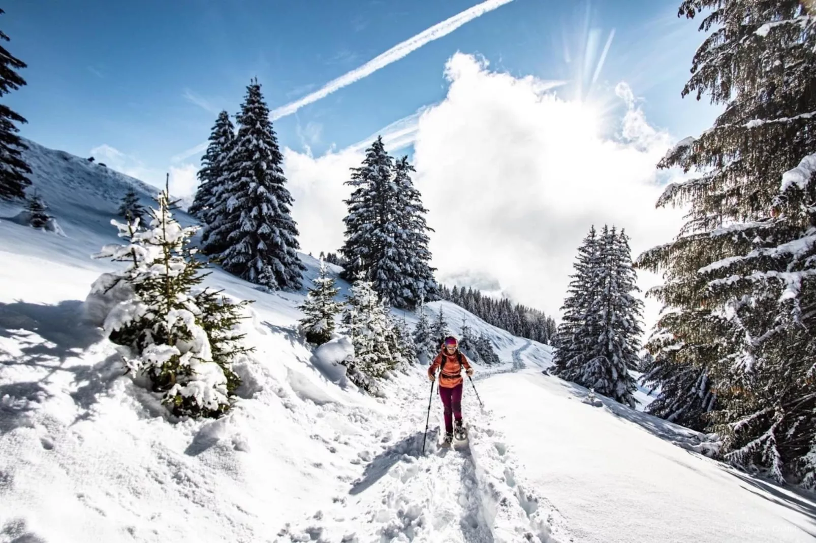 Portes Du Soleil PSB187 TELECABINE & MOUNTAIN 4 Pe-Image-tags.