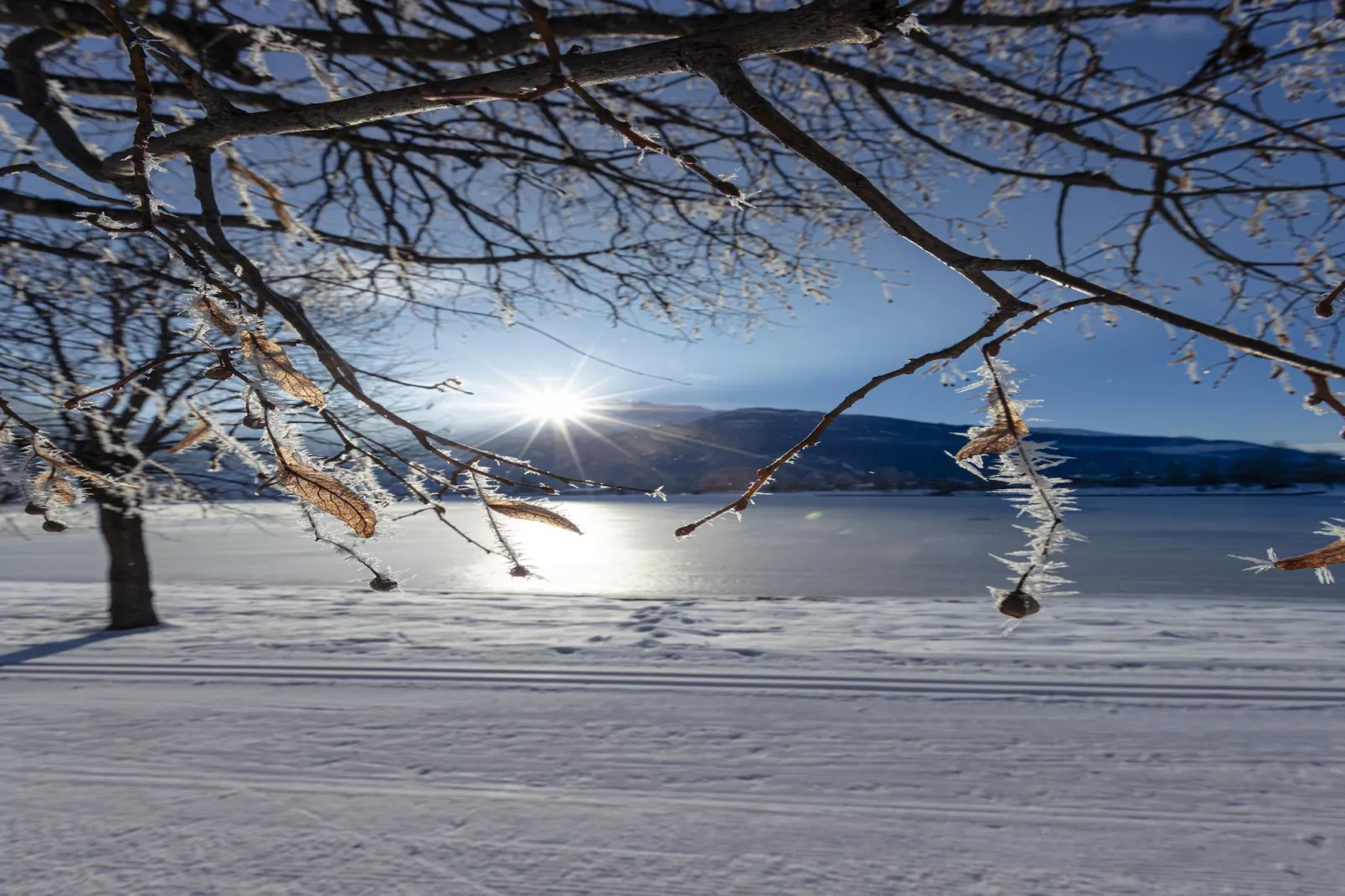 Tauernlodges Uttendorf 5B-Gebied winter 20km