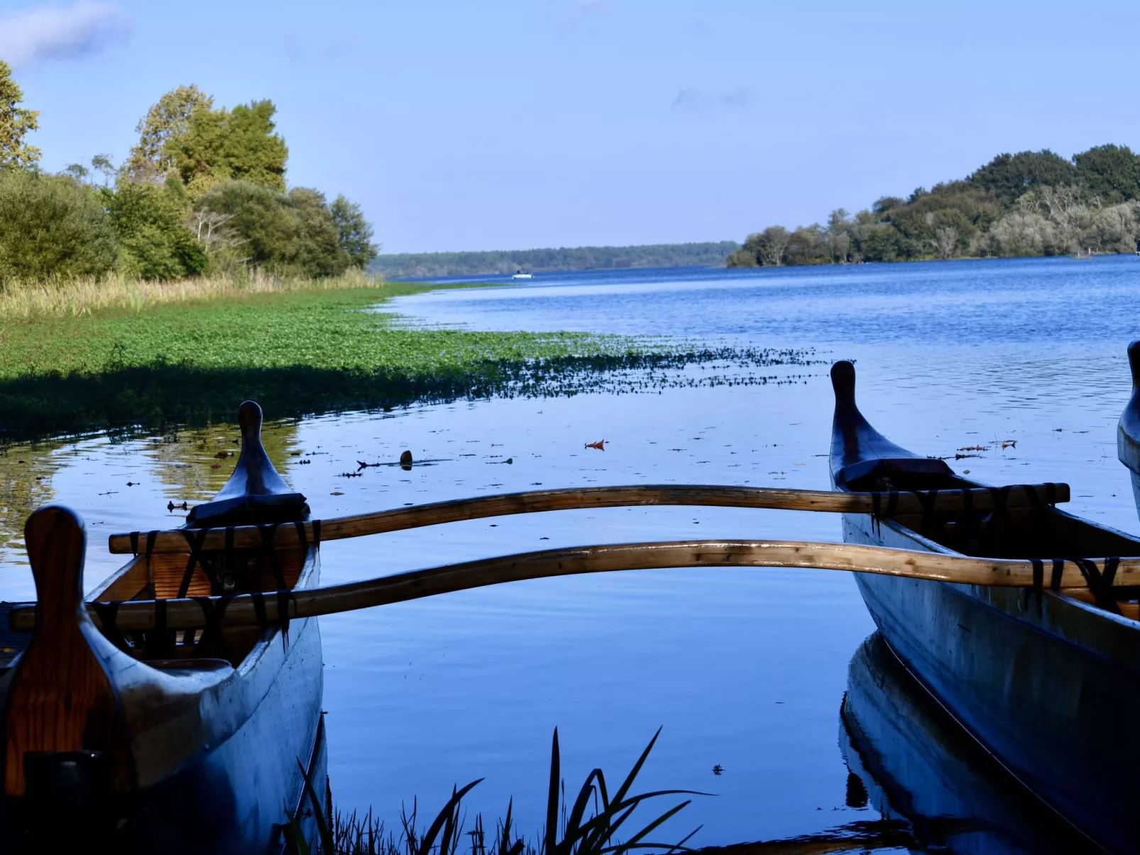 Hameau du courant-Omgeving