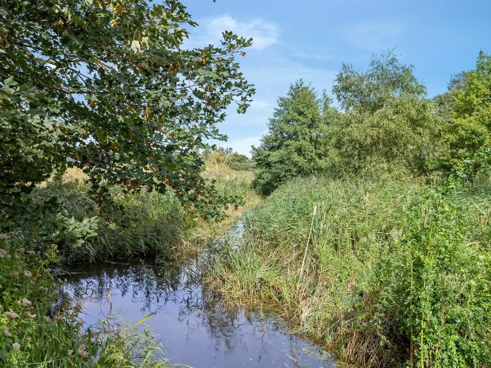 "Svanborg" - 40m from the sea-Buiten