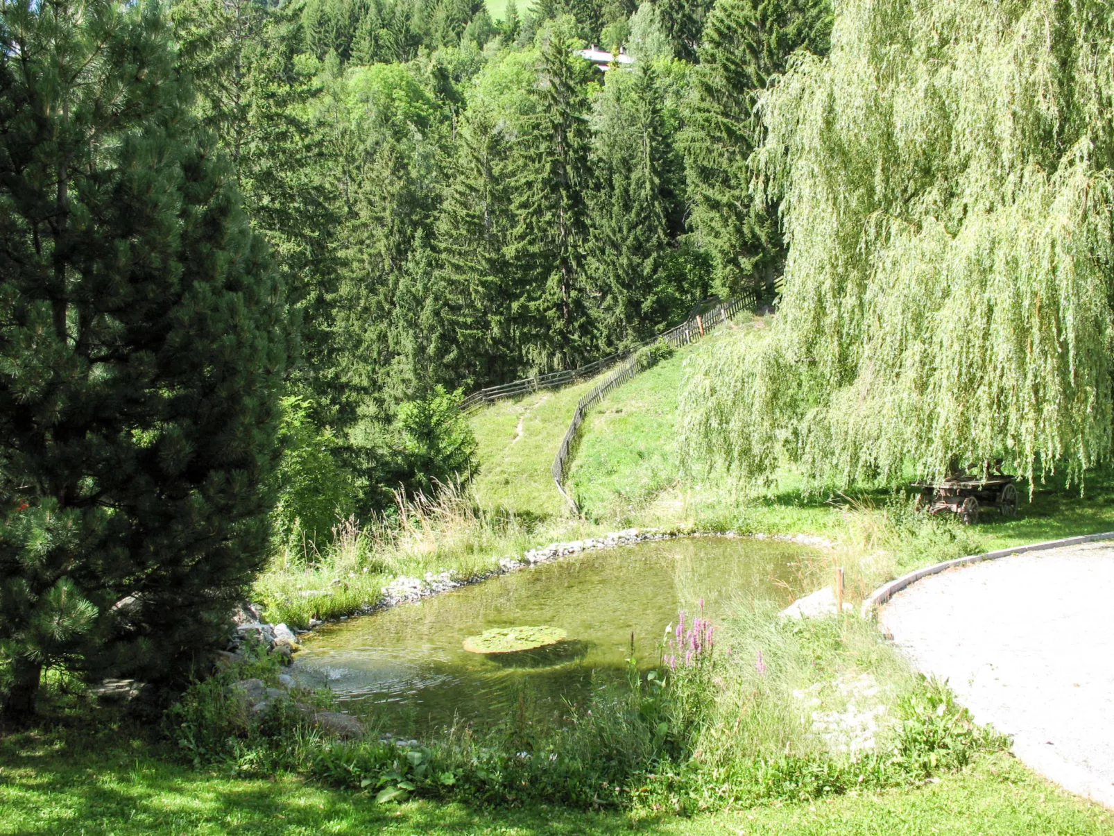 Burg Biedenegg,Trautson-Binnen