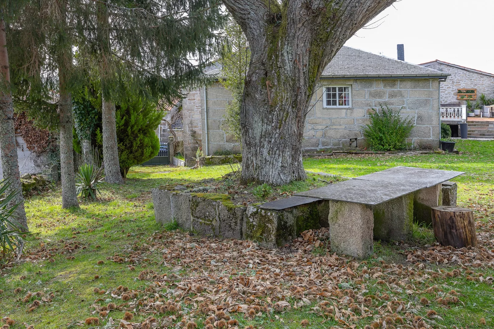 YourHouse A Casa Dos Cregos-Tuinen zomer