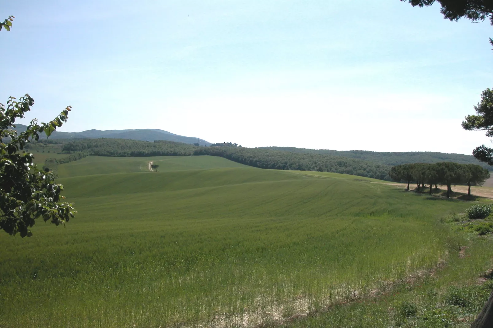 La Ginestra-Uitzicht zomer