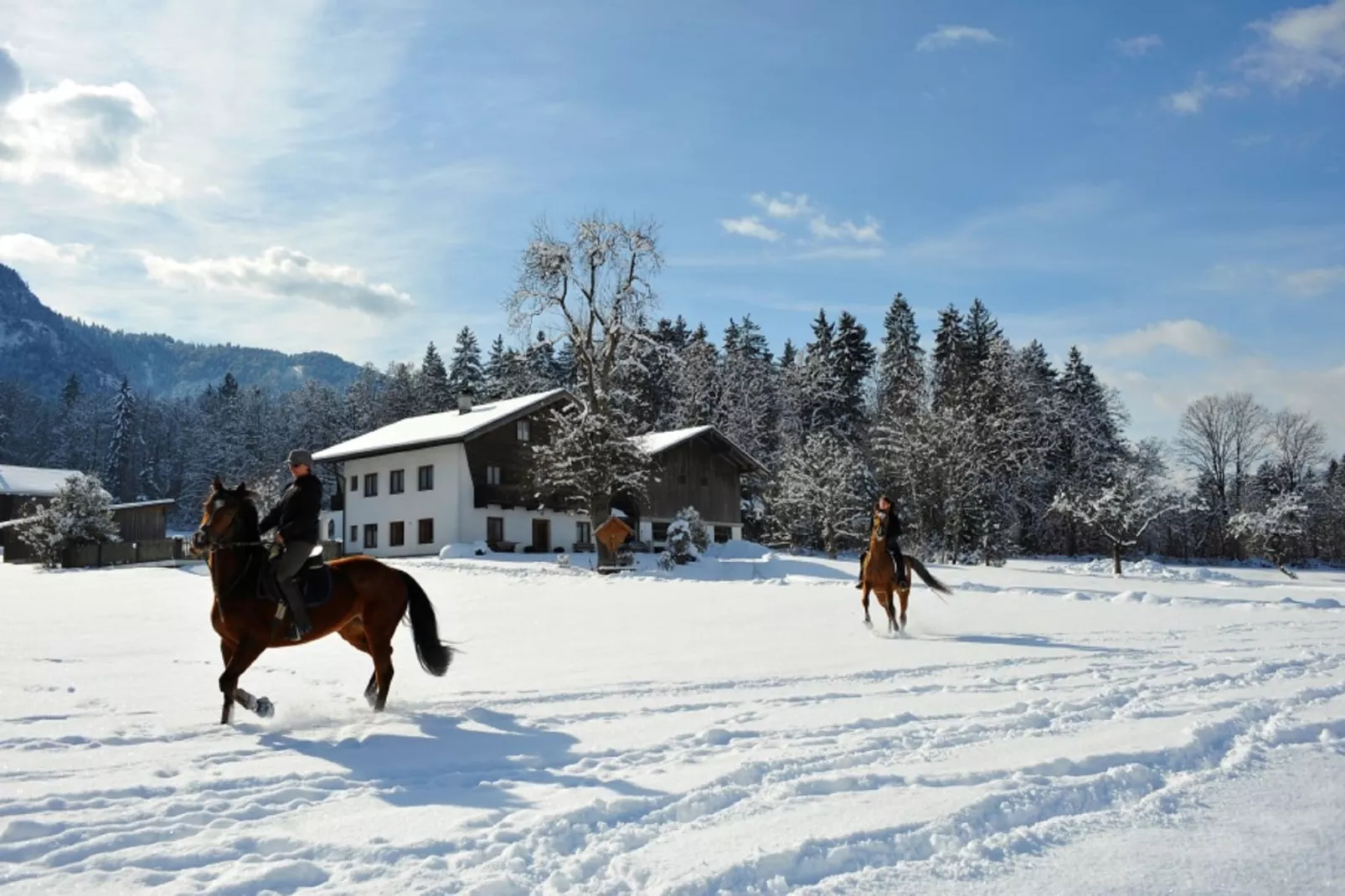 Brixental Suites 1-Buitenlucht