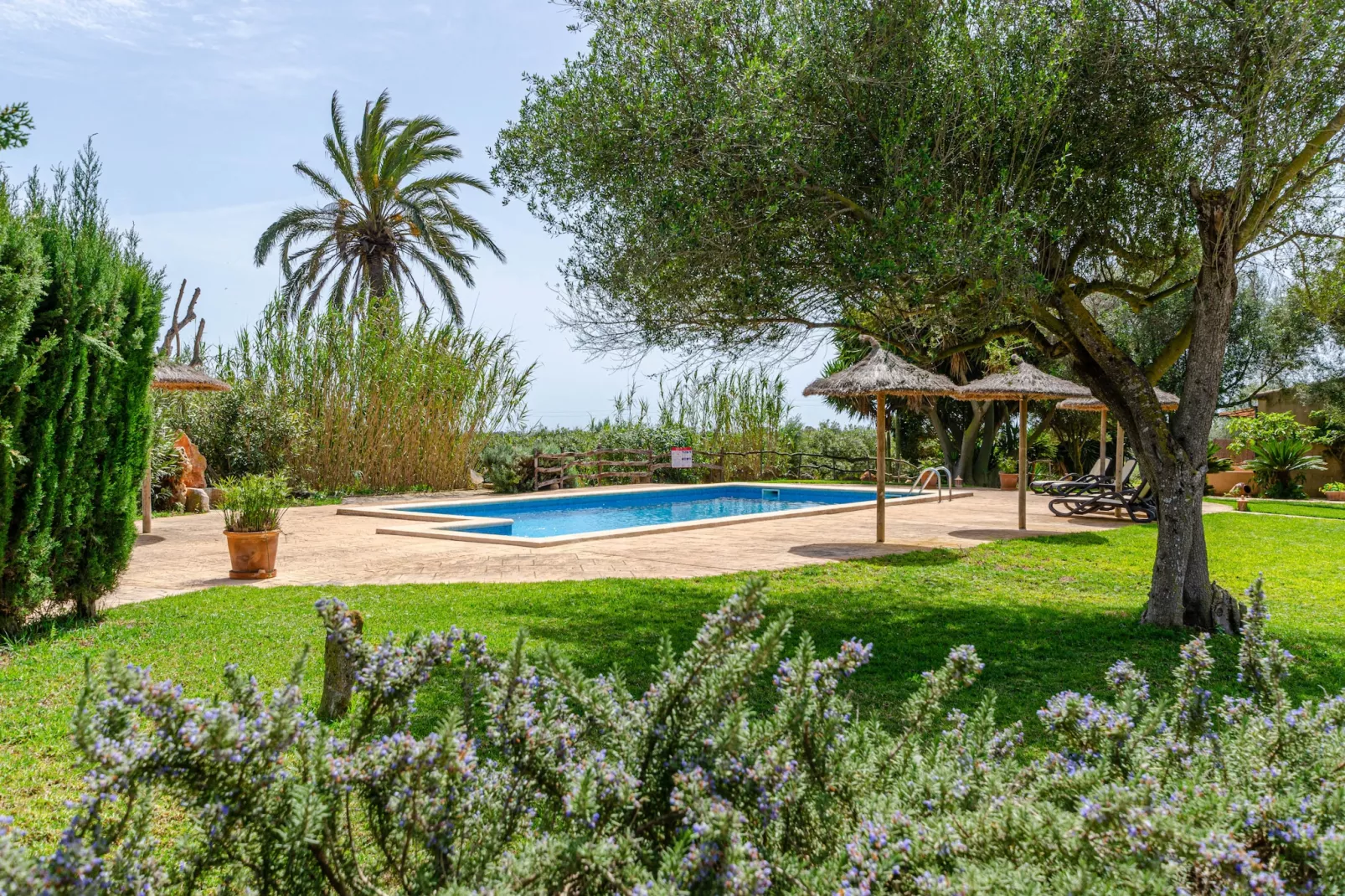 YourHouse Son Sala Agroturismo Vina Vella - doble-Tuinen zomer