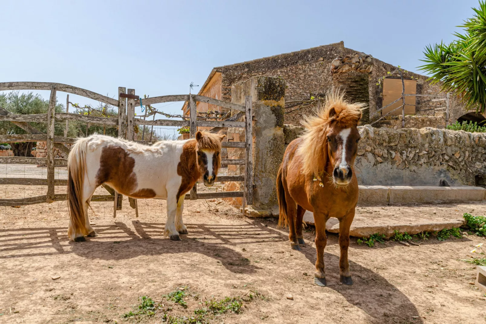 YourHouse Son Sala Agroturismo Vina Vella - doble-Buitenlucht