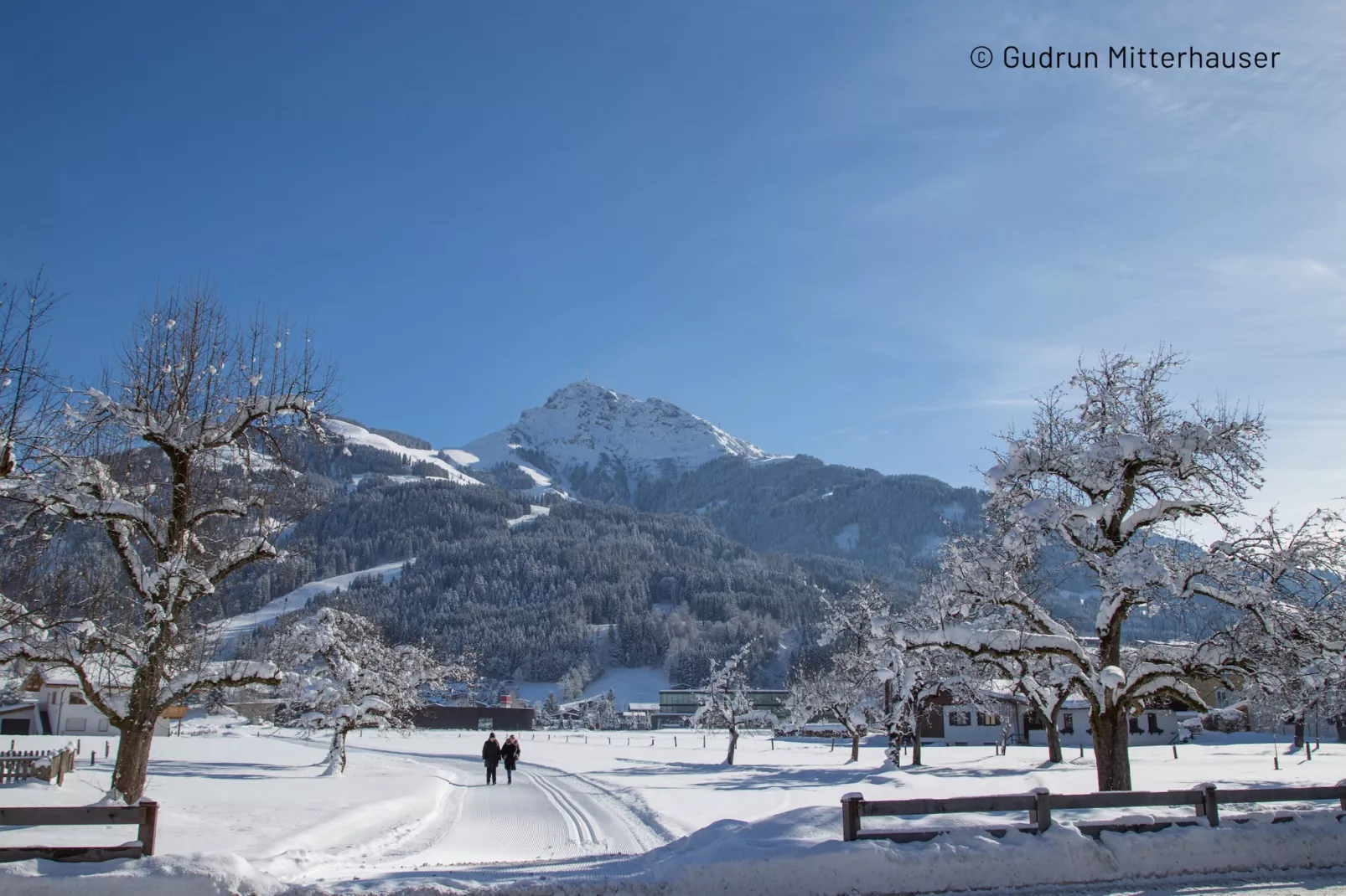 Kitzbühel Suites 1-Gebied winter 1km