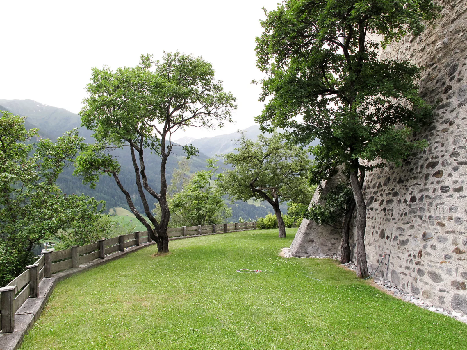 Burg Biedenegg, Niedermontani-Binnen