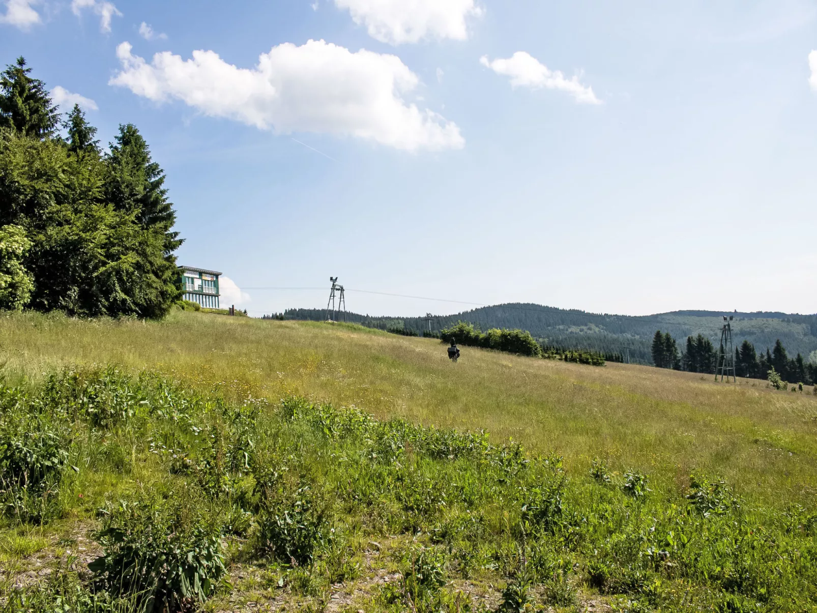 Blick ins Grüne-Buiten