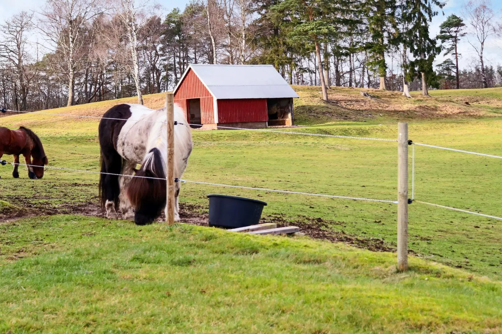 4 sterren vakantie huis in MUNKA-LJUNGBY-Niet-getagd