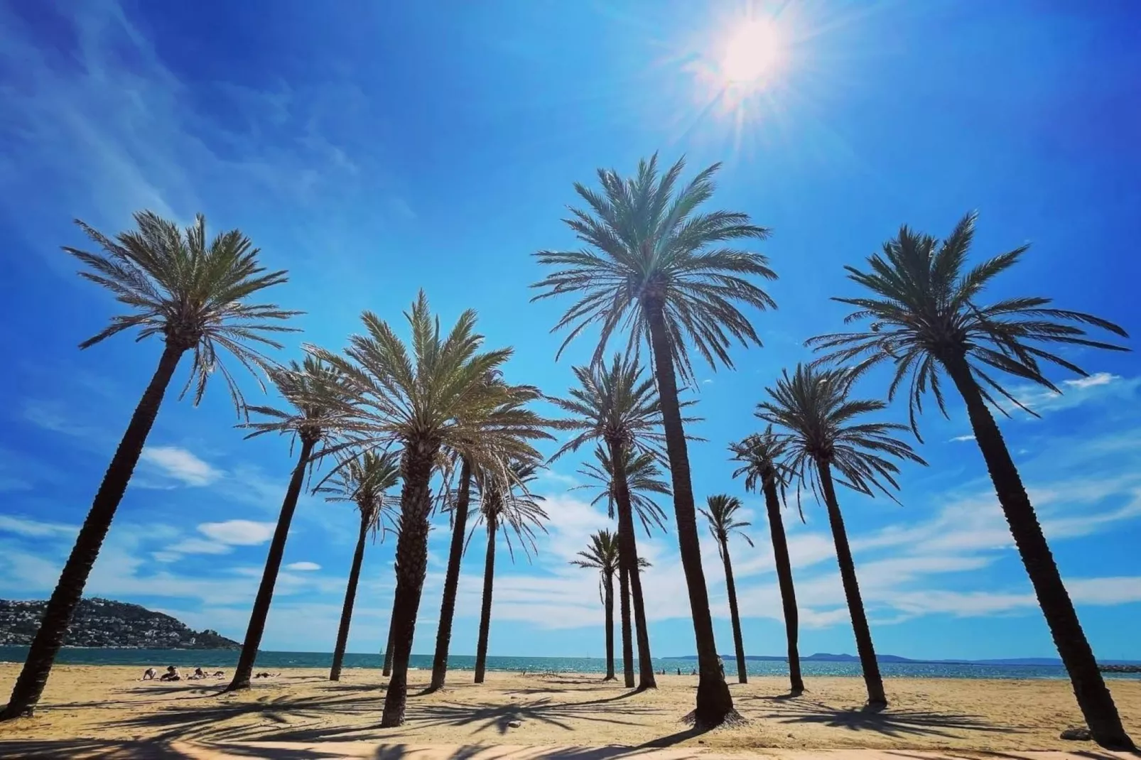 LA PLATJA  1F Roses-Gebieden zomer 5km