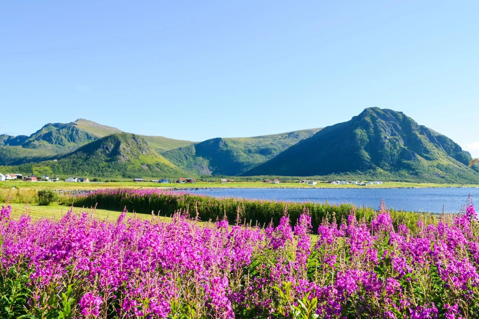 4 Personen vakantie huis in ALSVÅG-Niet-getagd