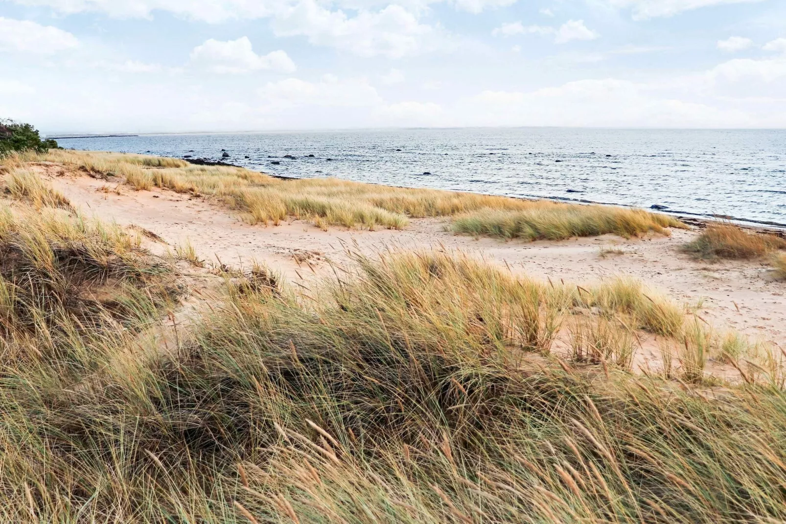 4 sterren vakantie huis in Halmstad-Niet-getagd