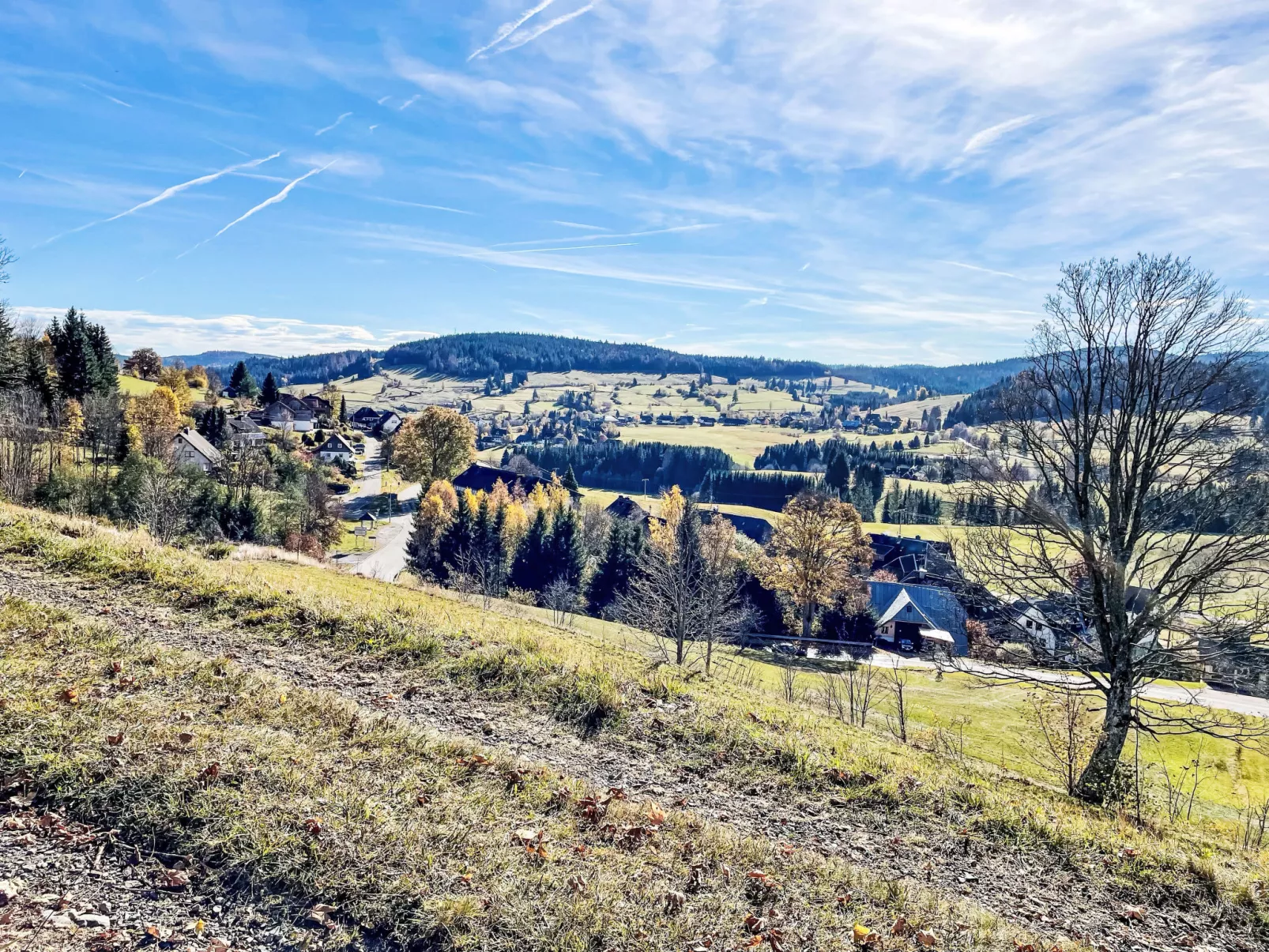 Schwarzwaldblick VI-Omgeving