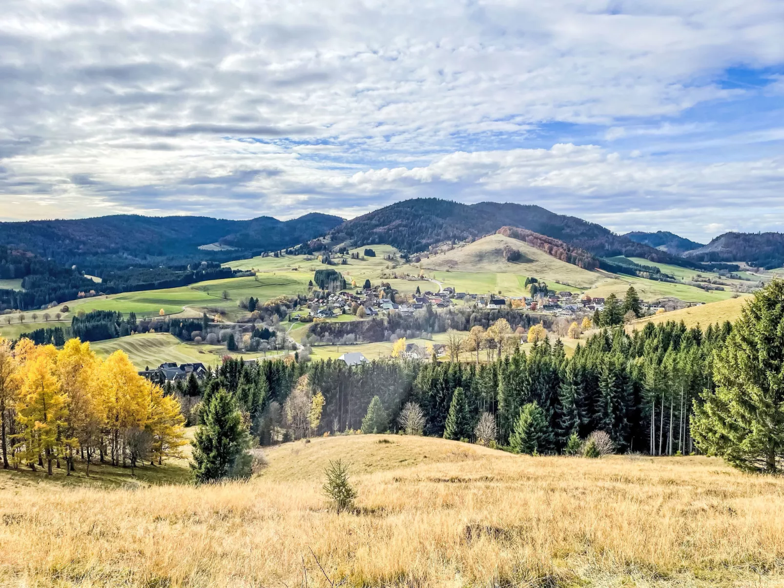 Schwarzwaldblick VI-Omgeving