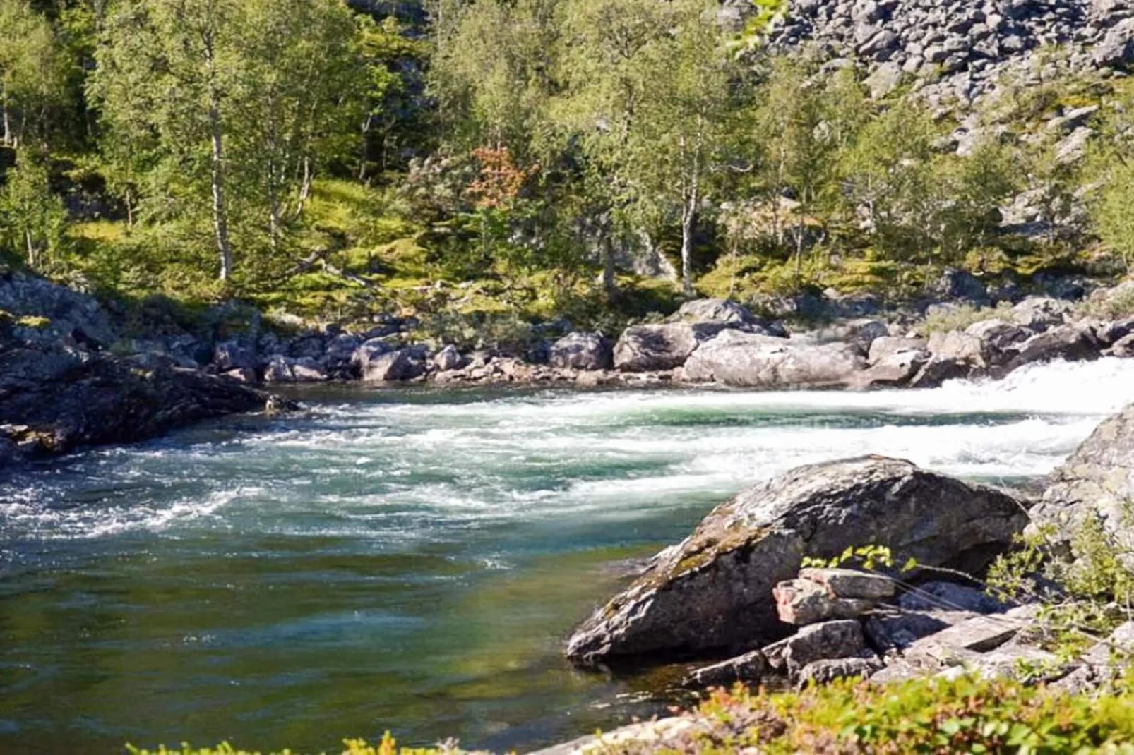 7 Personen vakantie huis in Sälen-Niet-getagd