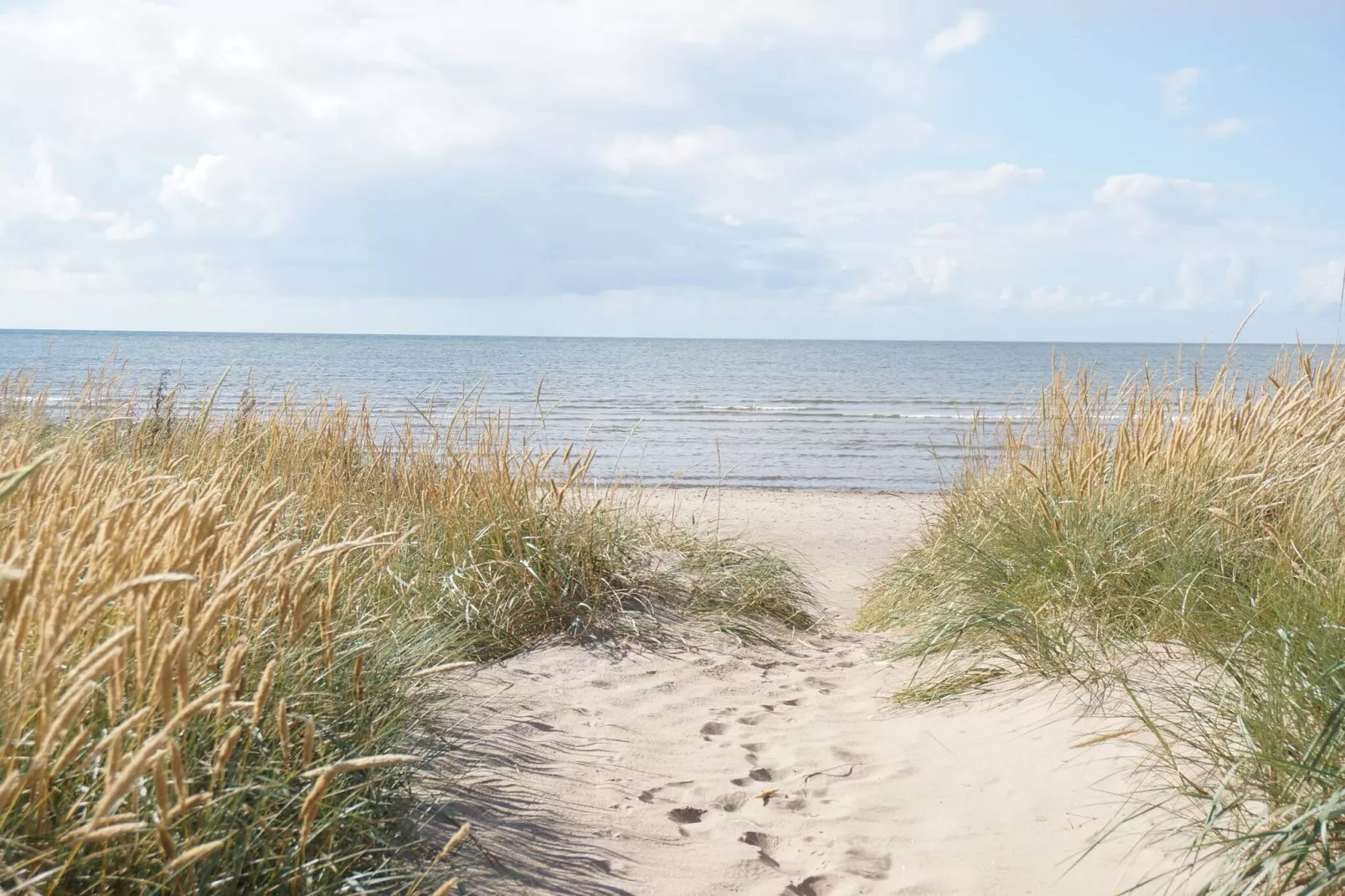 5 Personen vakantie huis in FALKENBERG-Niet-getagd