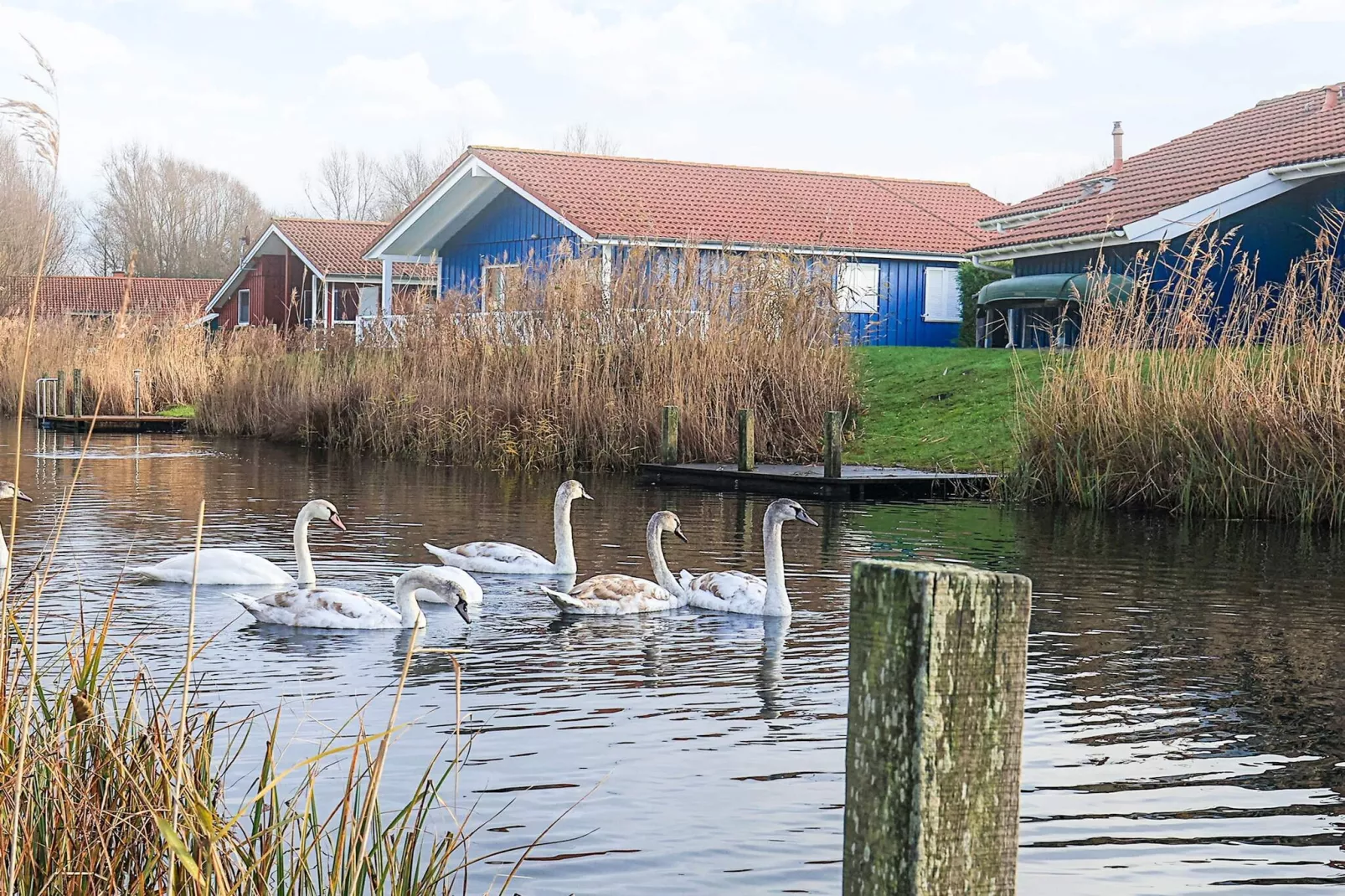 4 sterren vakantie huis in Ottendorf