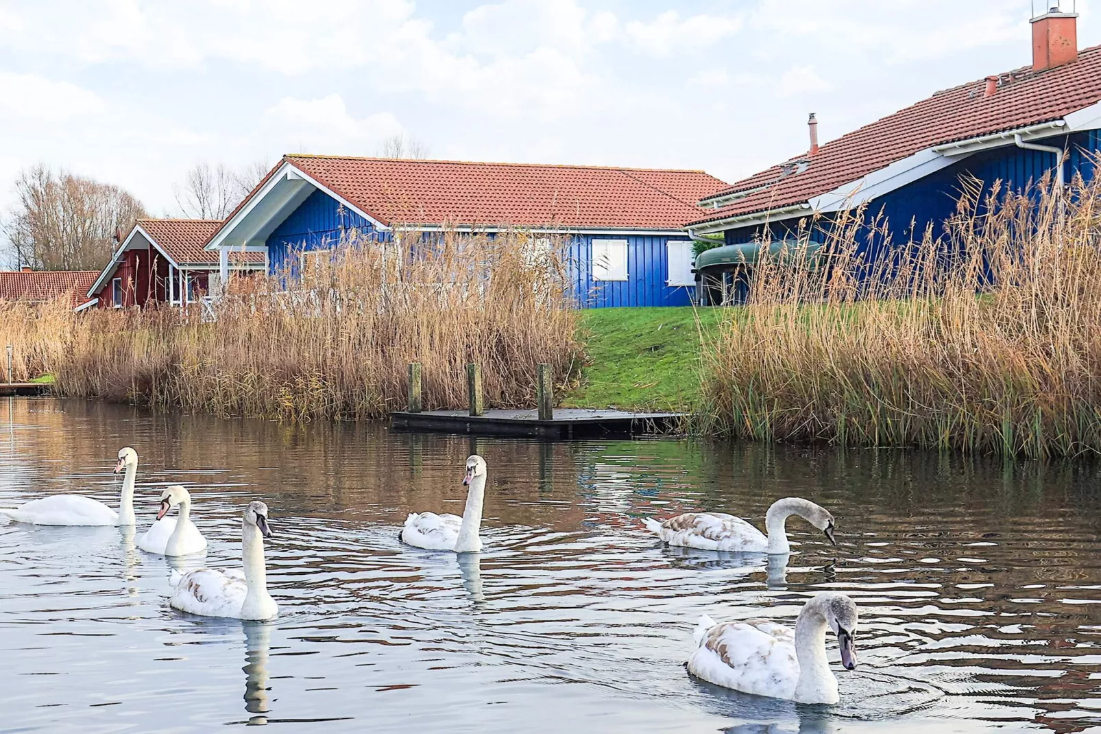 4 sterren vakantie huis in Ottendorf-Uitzicht