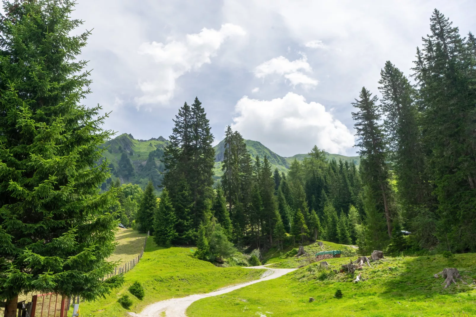 Naviser Hütte Wohnung Kirchdach 145-Gebieden zomer 1km