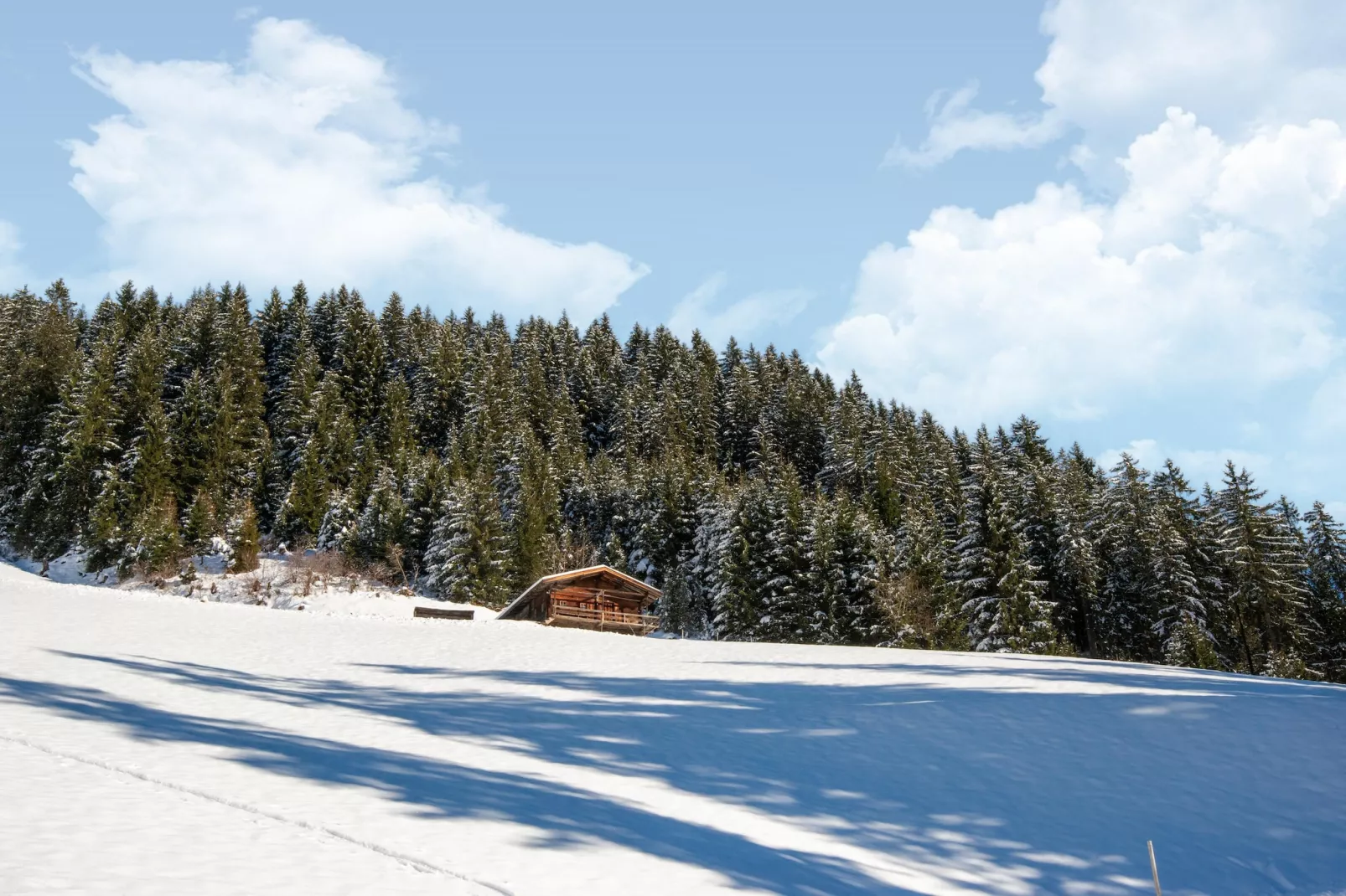 Almhütte Nase-Gebied winter 5km