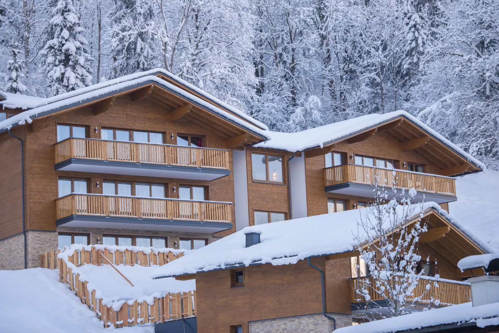 Superior Chalet-Exterieur winter