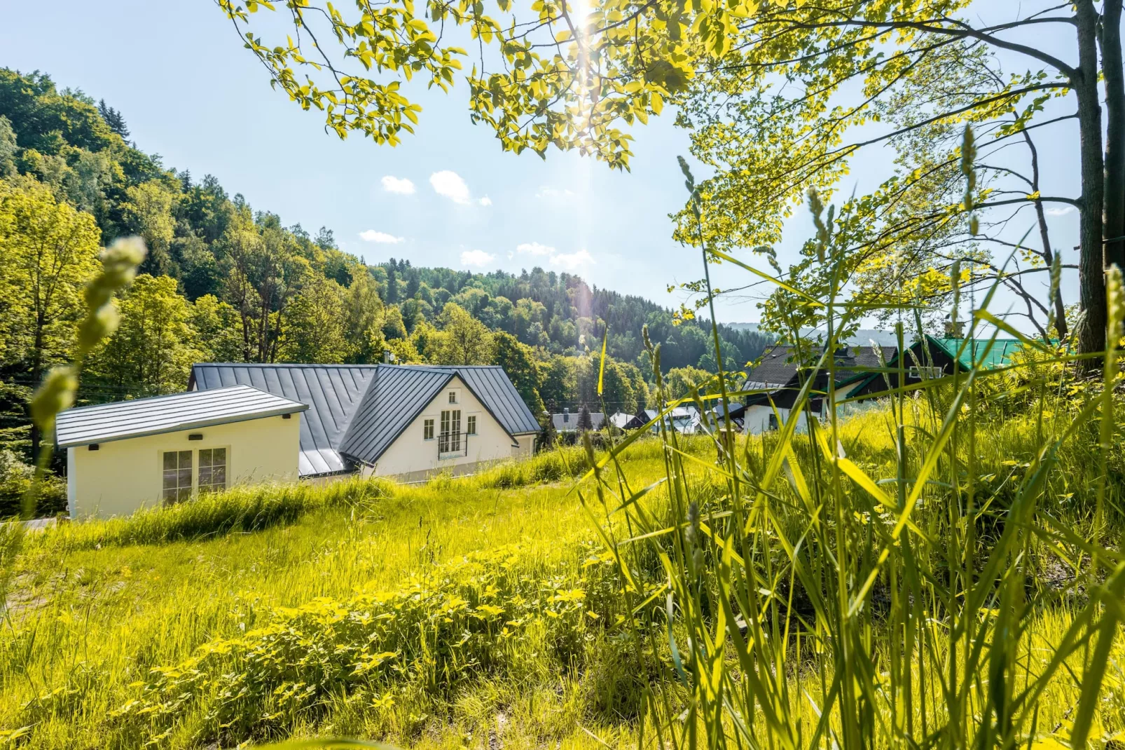 Villa met sauna LDD032-Tuinen zomer