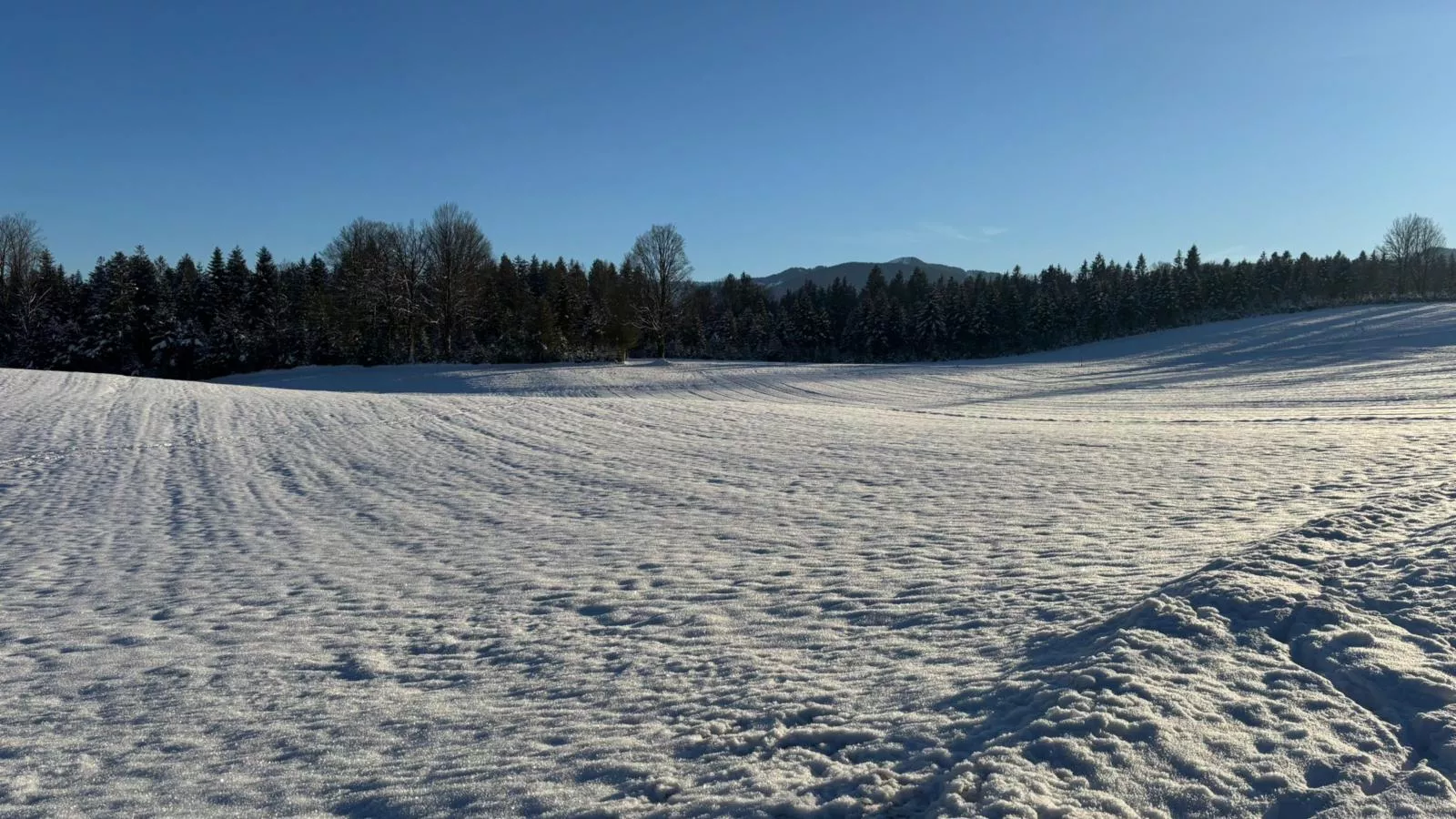 Almblick-Uitzicht winter