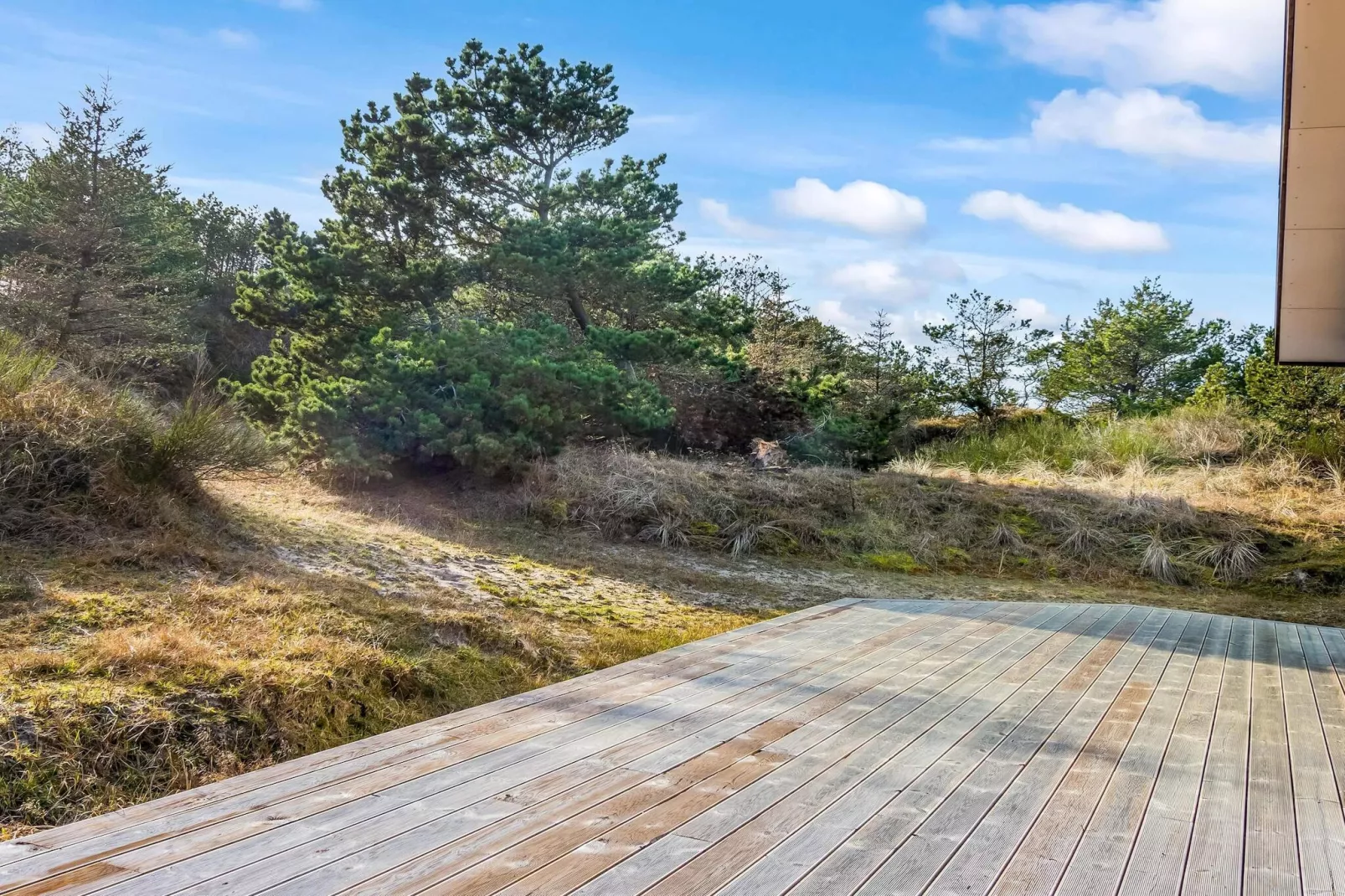 5 sterren vakantie huis in Saltum-Buitenlucht