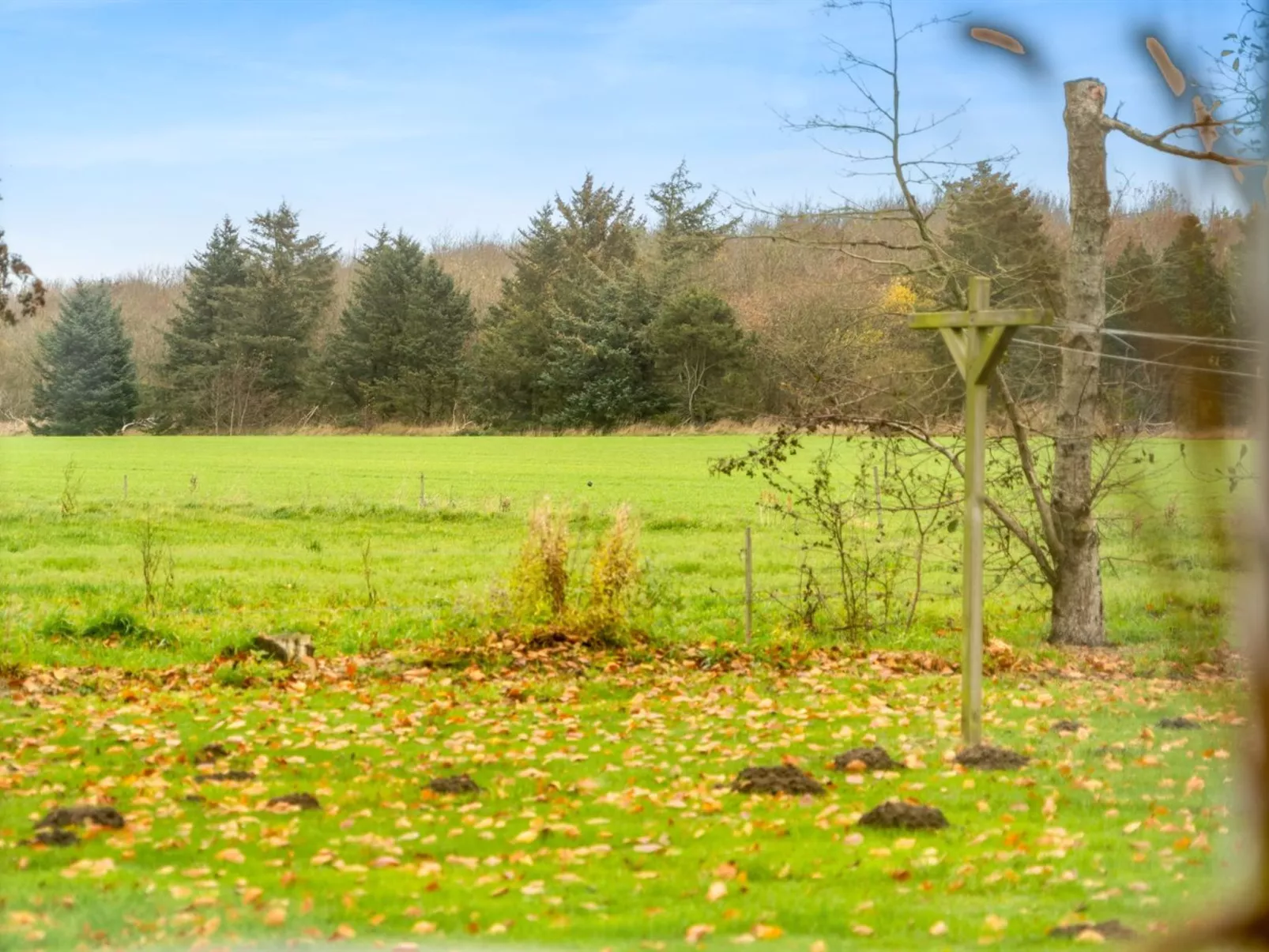 "Thorgot" - 3km from the sea-Buiten