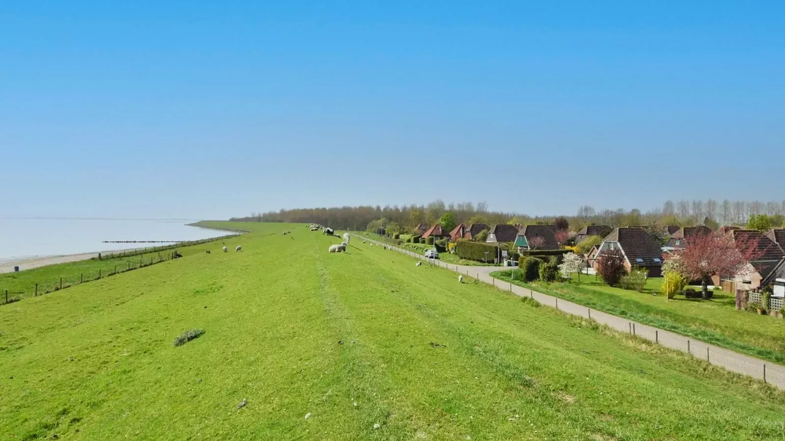 De Zeediek-Gebieden zomer 1km