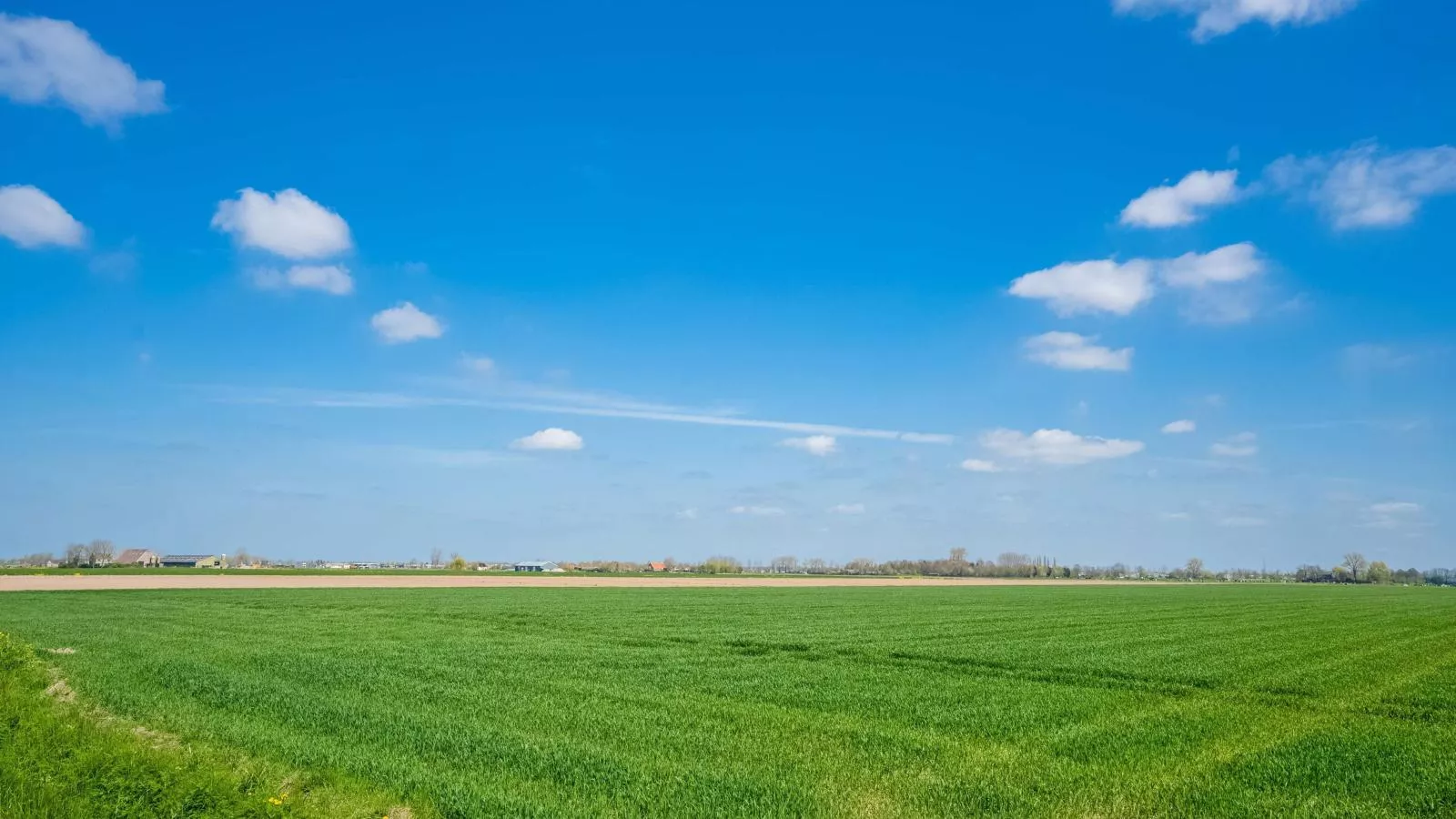 De Genderense Hoeve-Uitzicht zomer