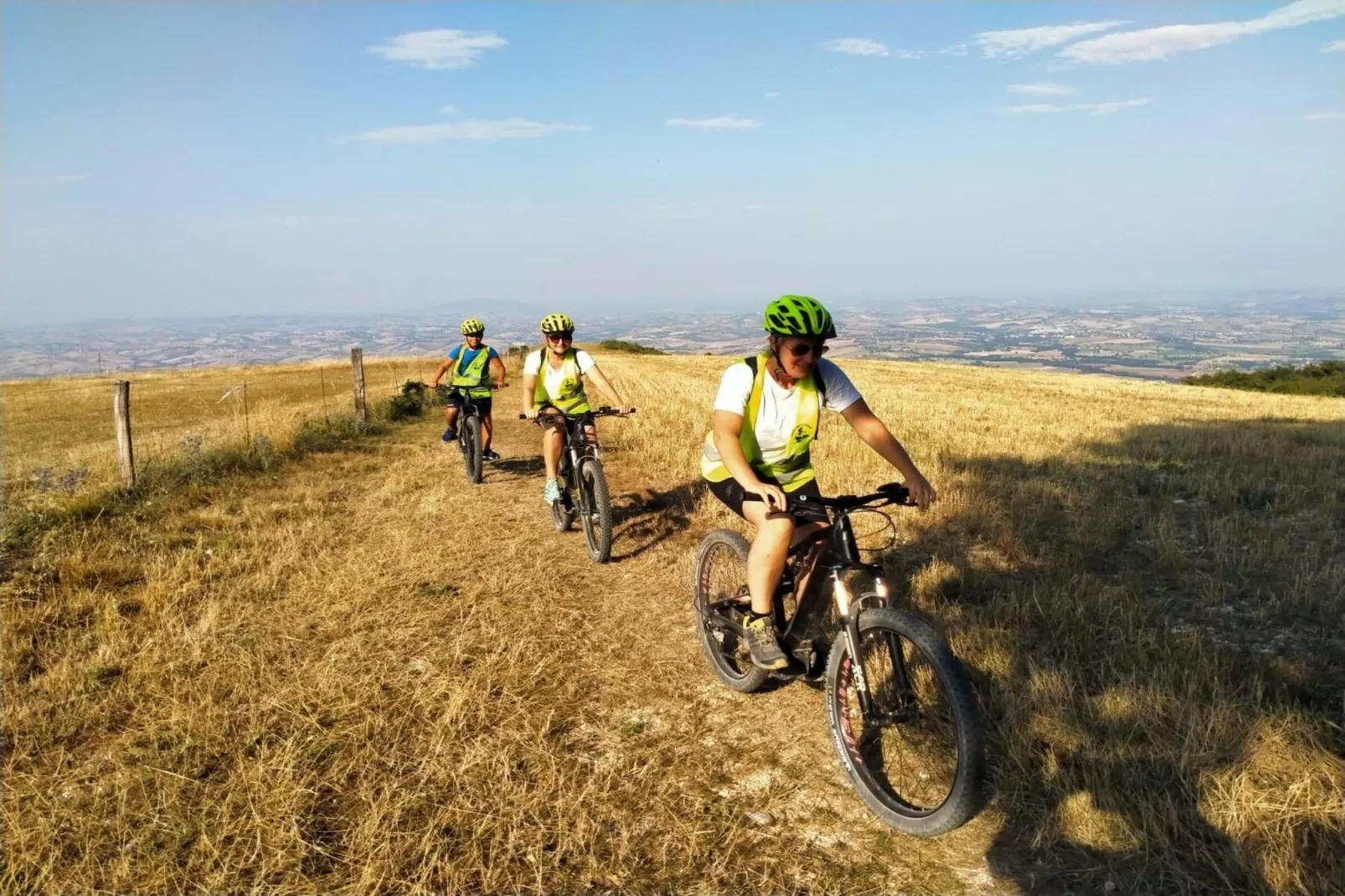 Gelso-Gebieden zomer 20km