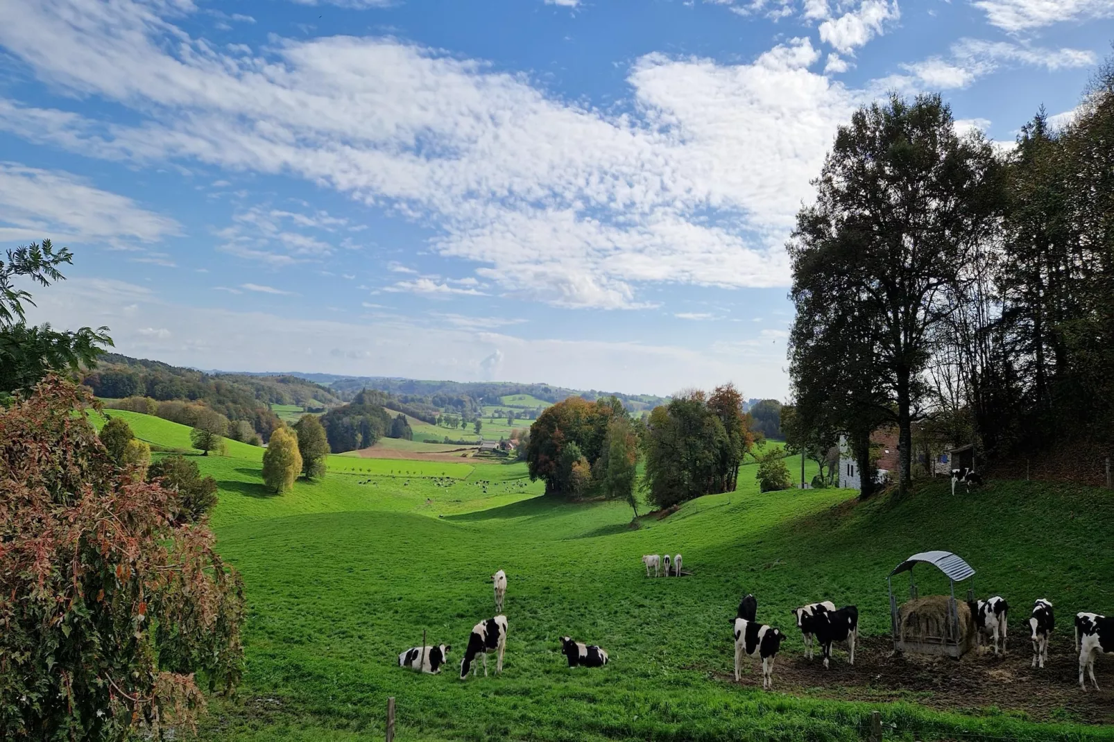 Le domaine d'Hypolite-Uitzicht zomer