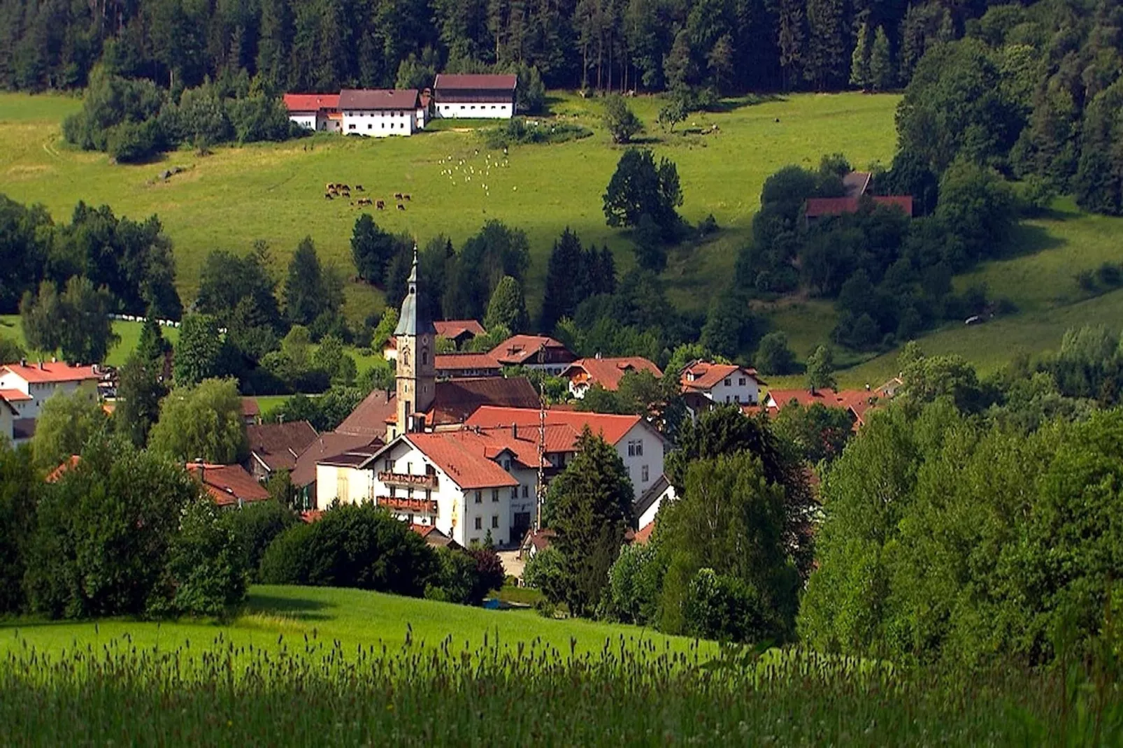 	Holiday flats Haus am Wald Zenting-Wohnung für 2 Personen-Sfeer