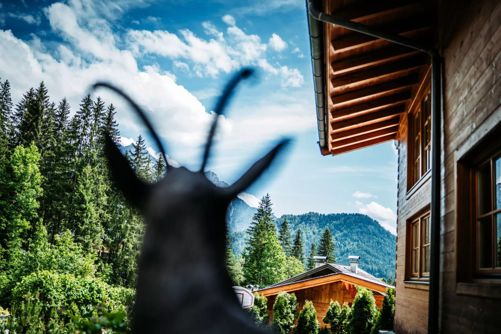 Chalet Gamsglück in Waidring-Buitenlucht