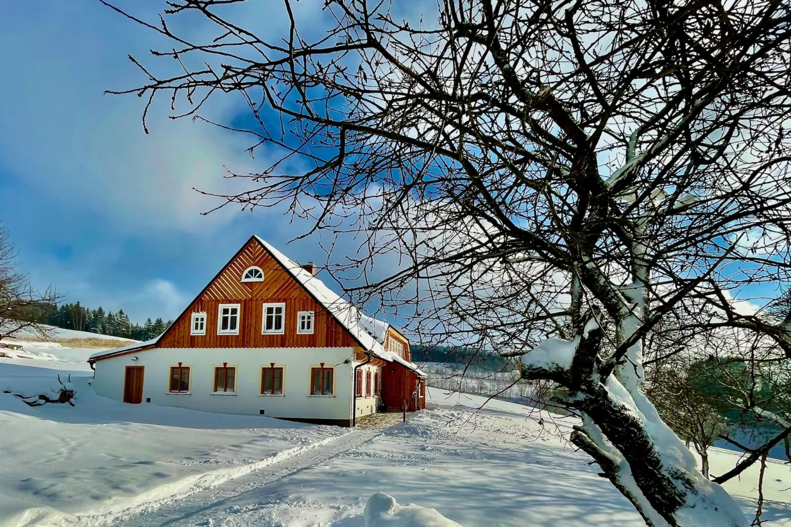 Víchová nad Jizerou LVV033-Buitenlucht