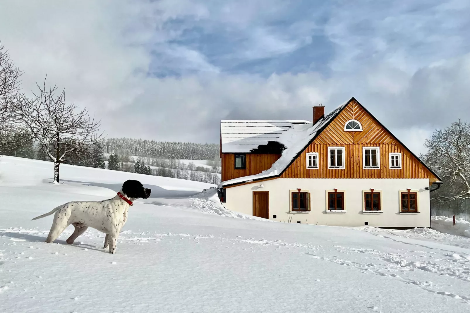 Víchová nad Jizerou LVV033-Buitenlucht