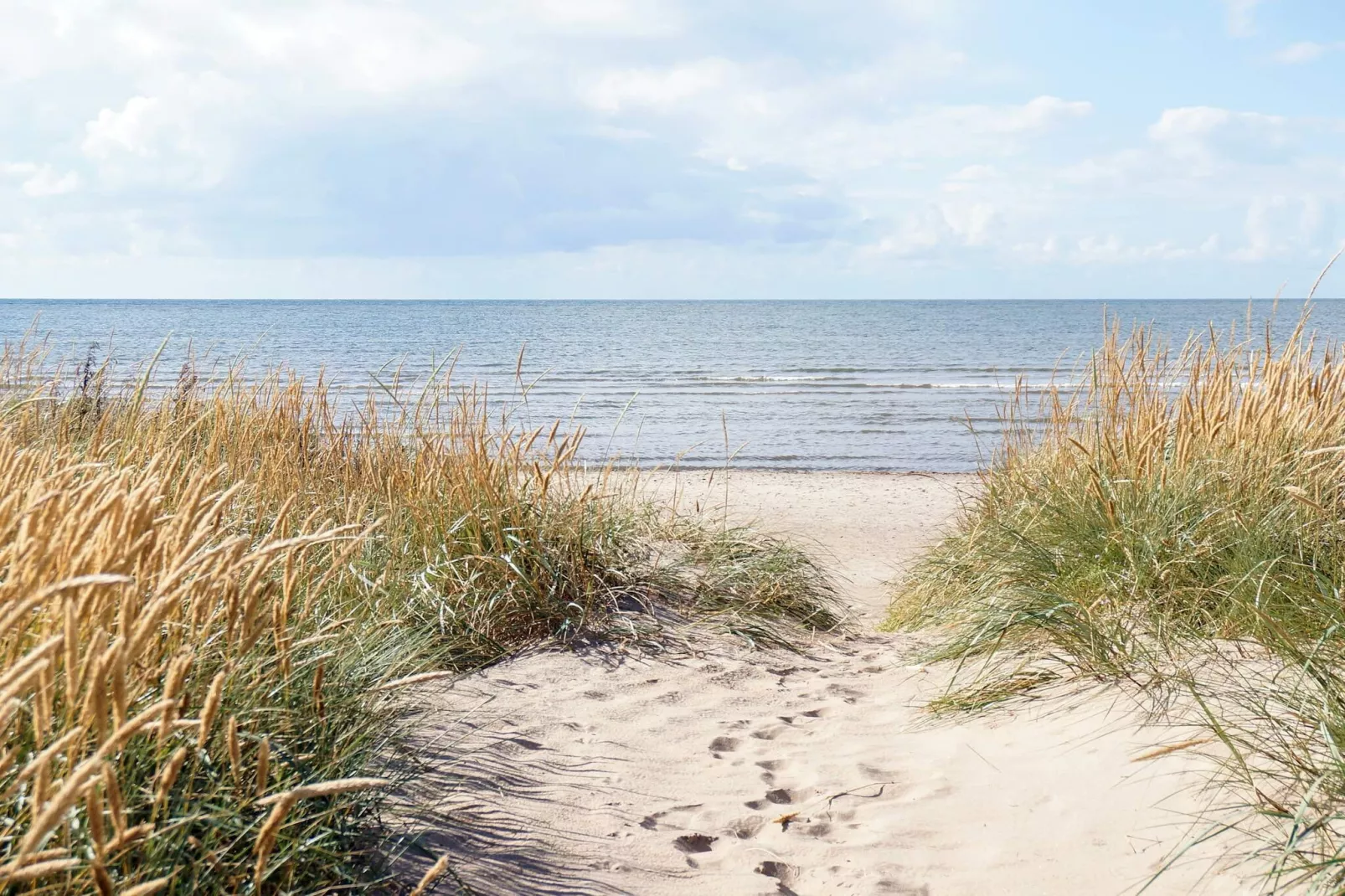 5 Personen vakantie huis in FALKENBERG-Niet-getagd