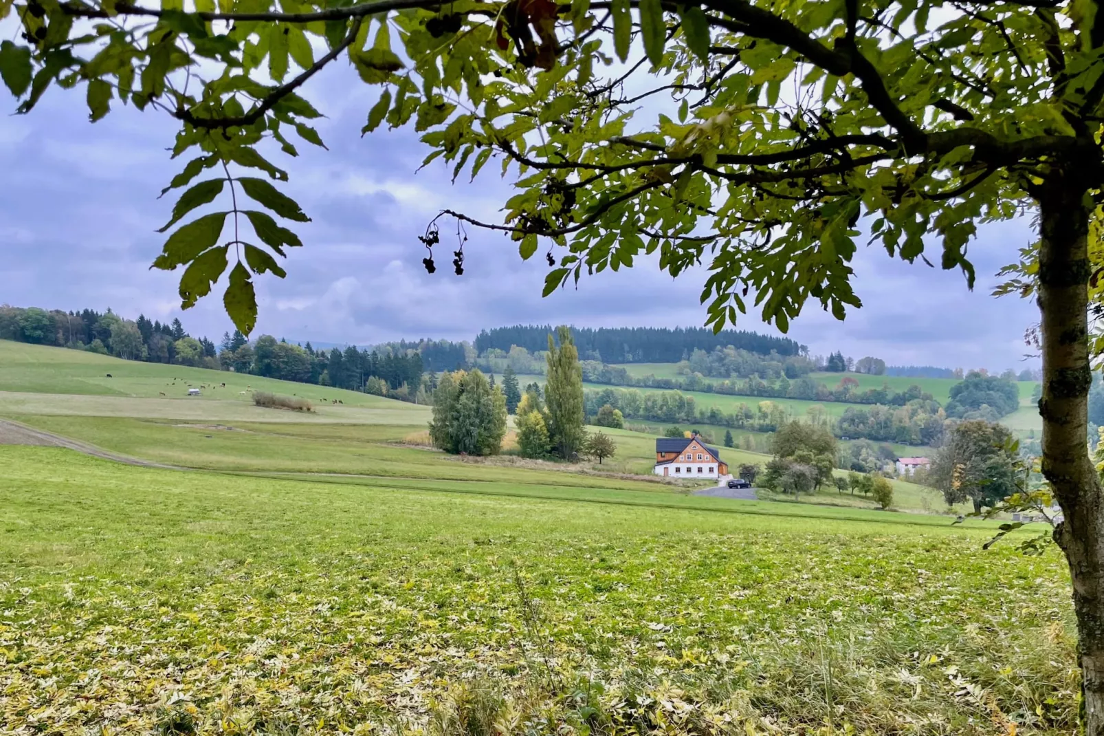 Víchová nad Jizerou LVV033-Buitenlucht