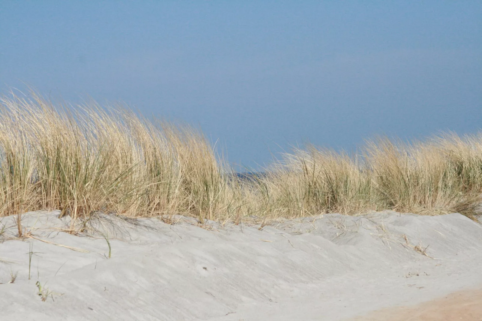 Seeblick-Gebieden zomer 5km