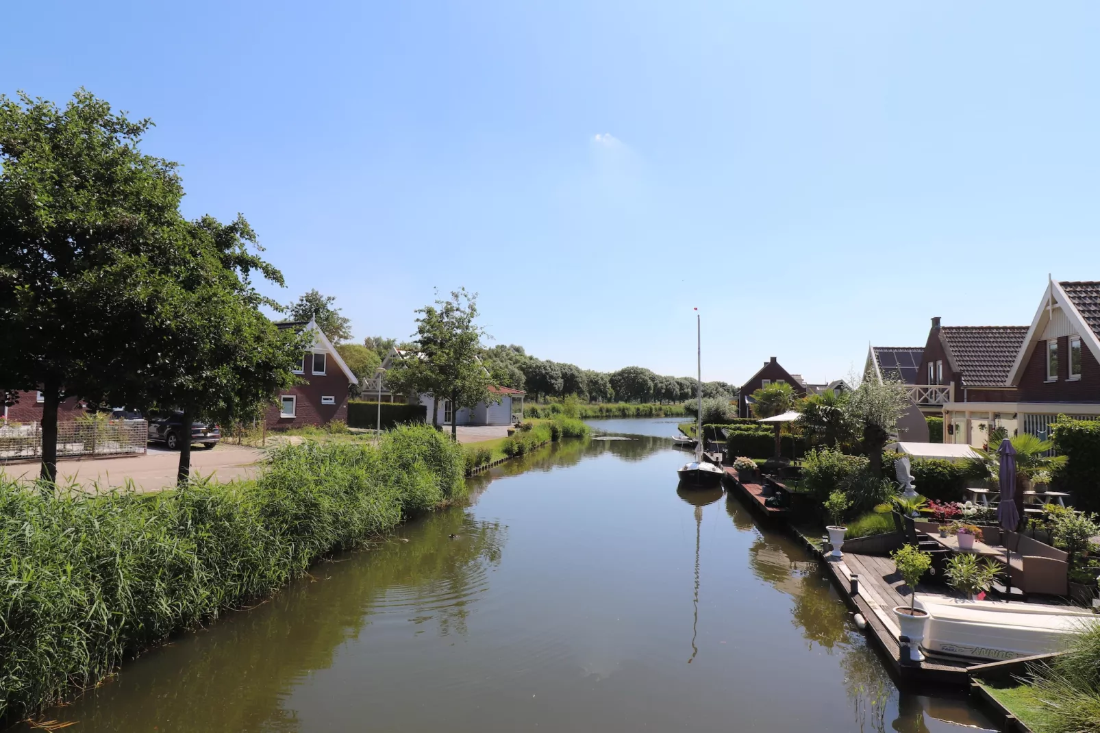 Standaard 231-Gebieden zomer 1km